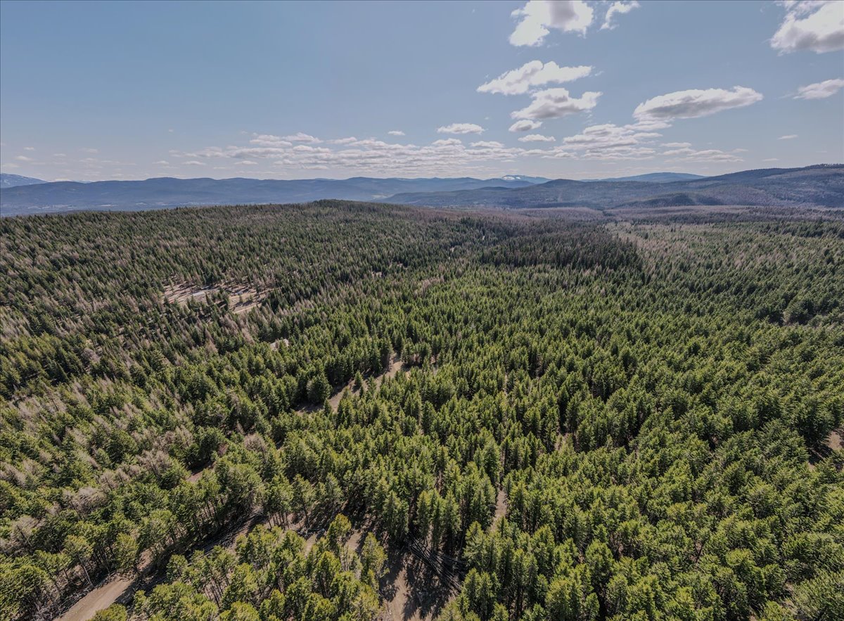 308 E Edna Mountain Road