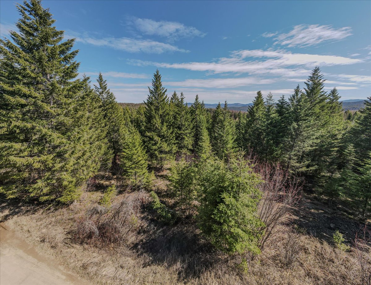308 E Edna Mountain Road