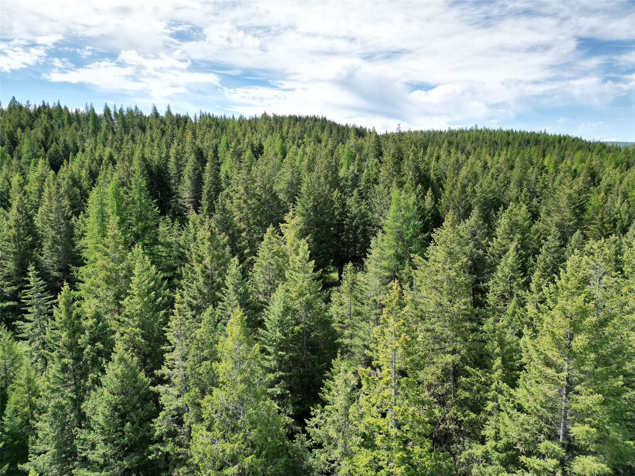 NHN E Edna Mountain Road