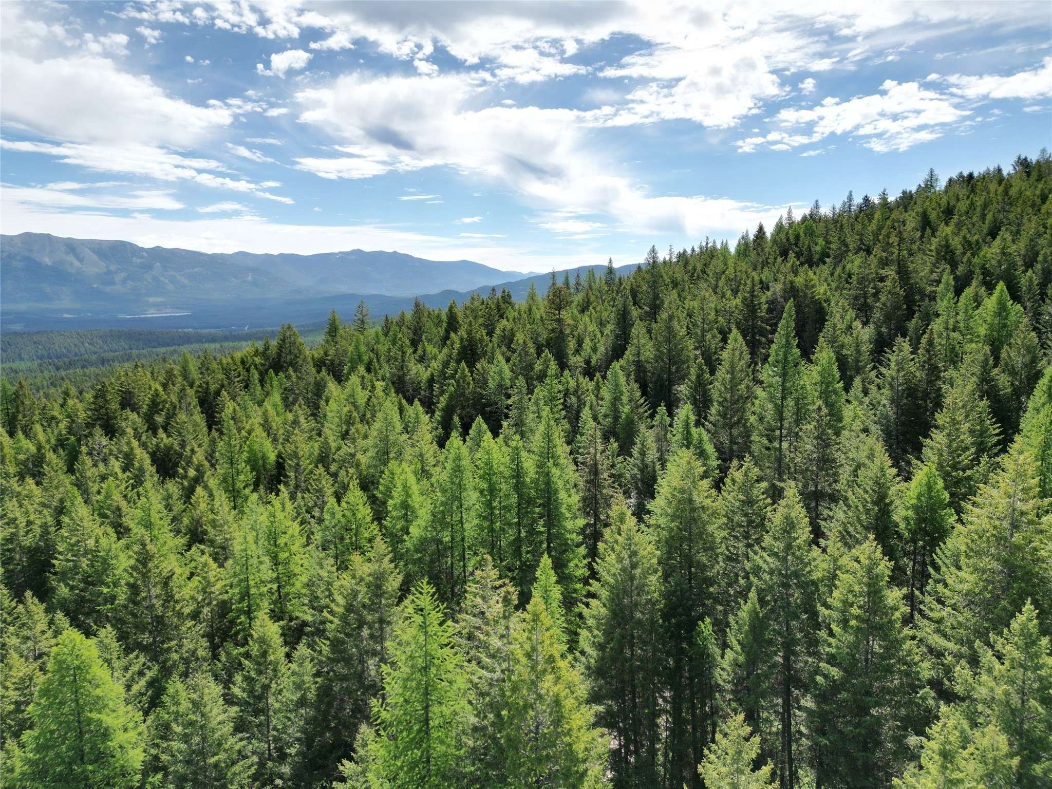 NHN E Edna Mountain Road