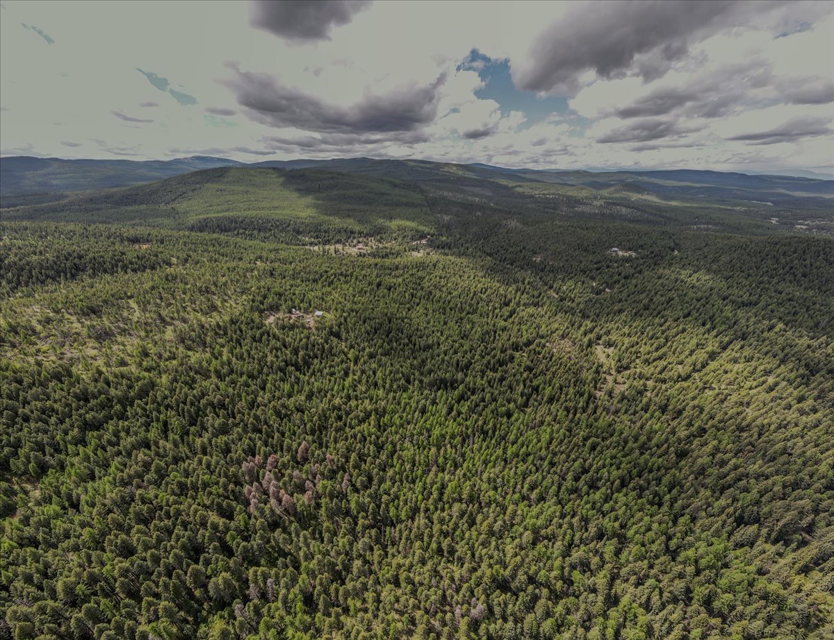 NHN E Edna Mountain Road