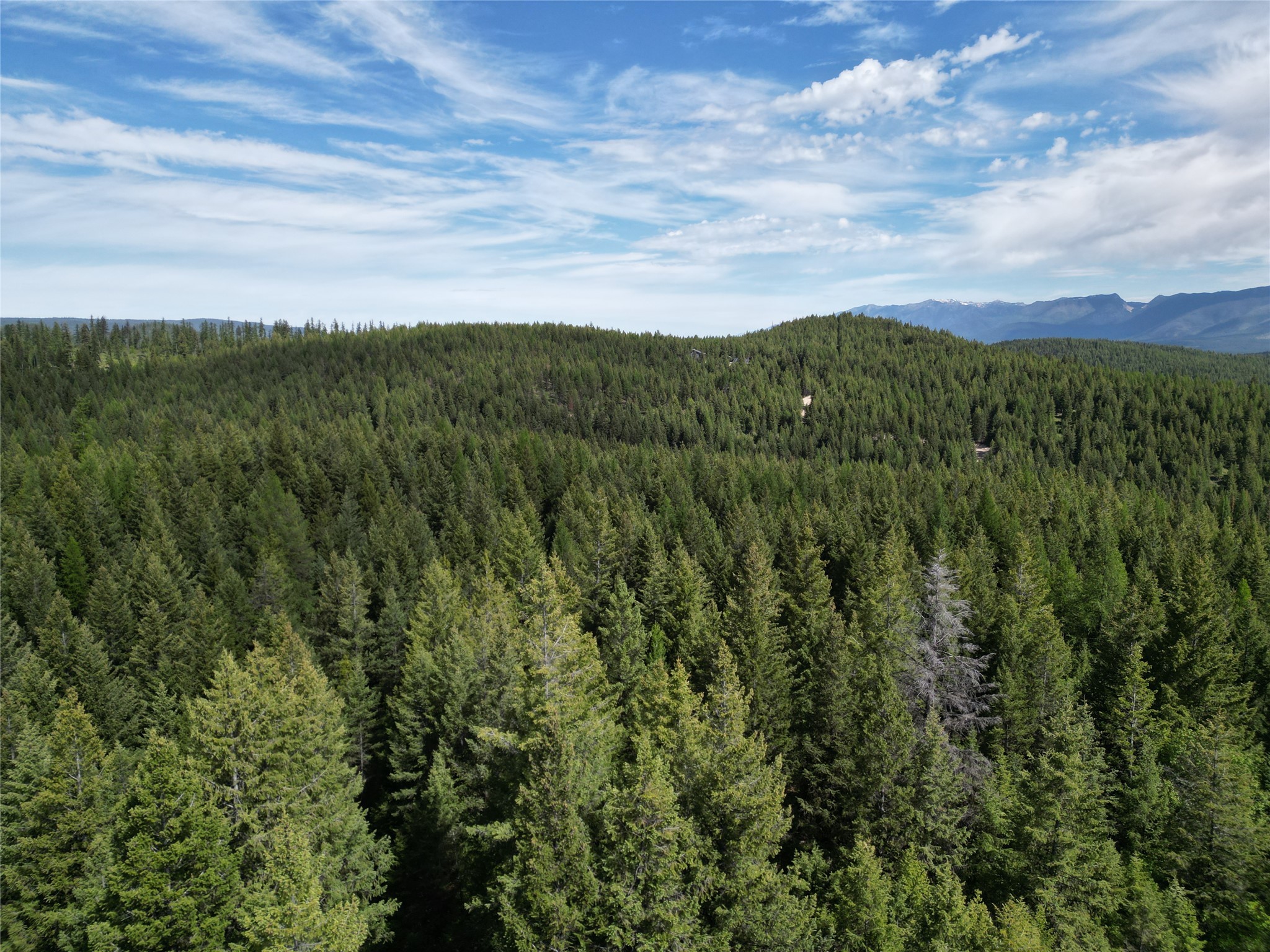 NHN E Edna Mountain Road