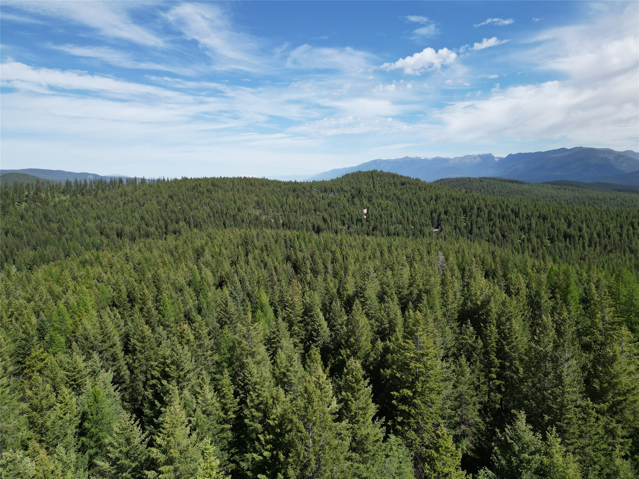 NHN E Edna Mountain Road