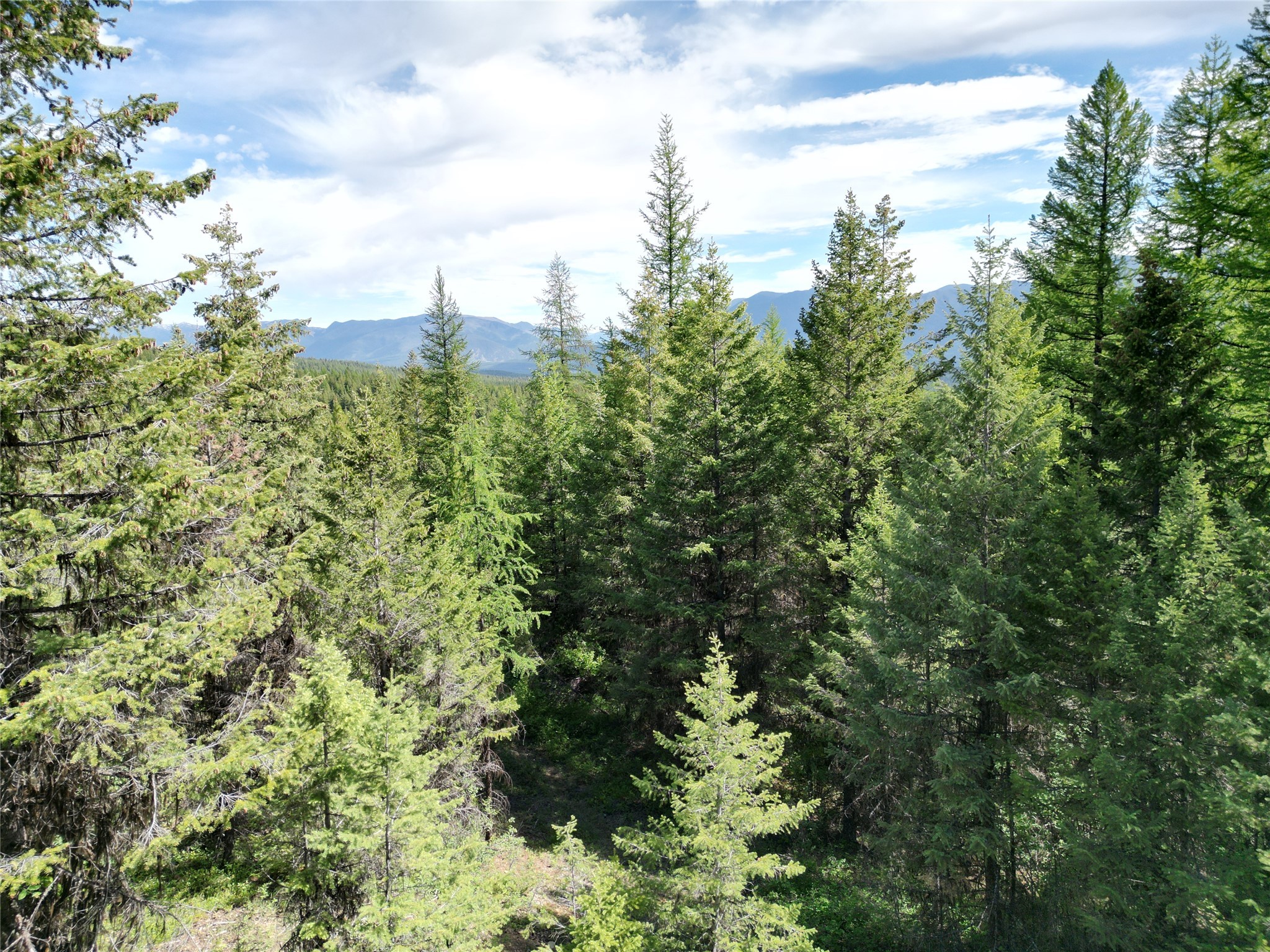 NHN E Edna Mountain Road