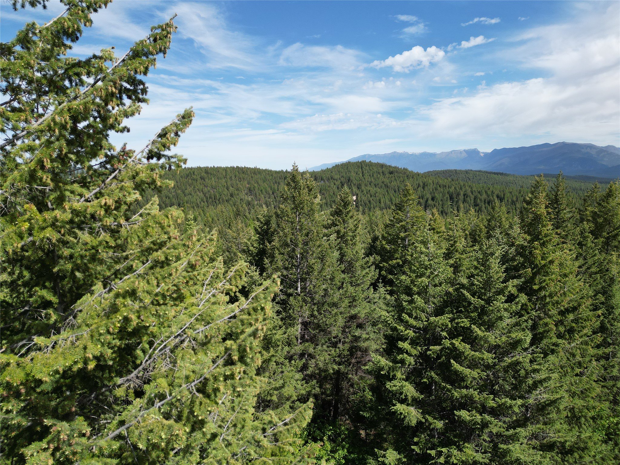 NHN E Edna Mountain Road