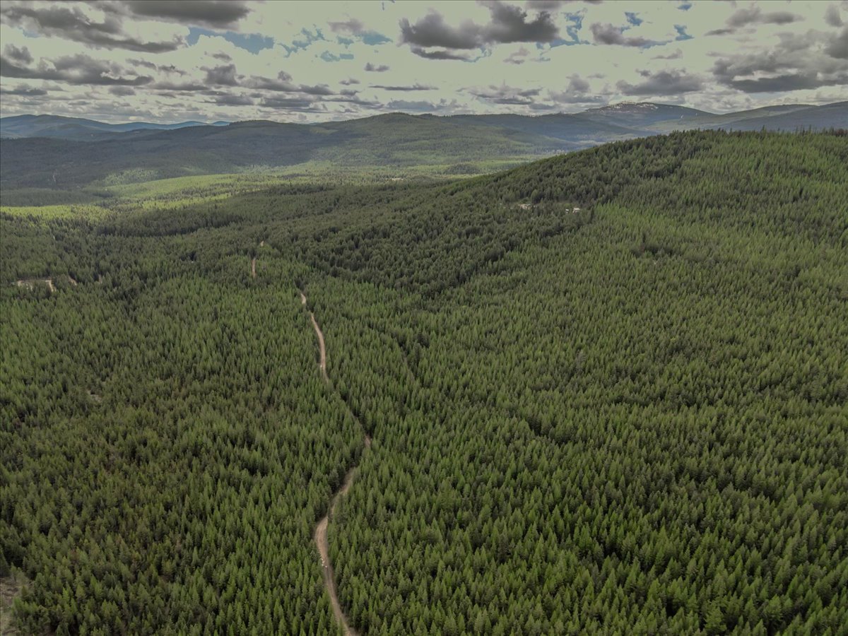 NHN E Edna Mountain Road