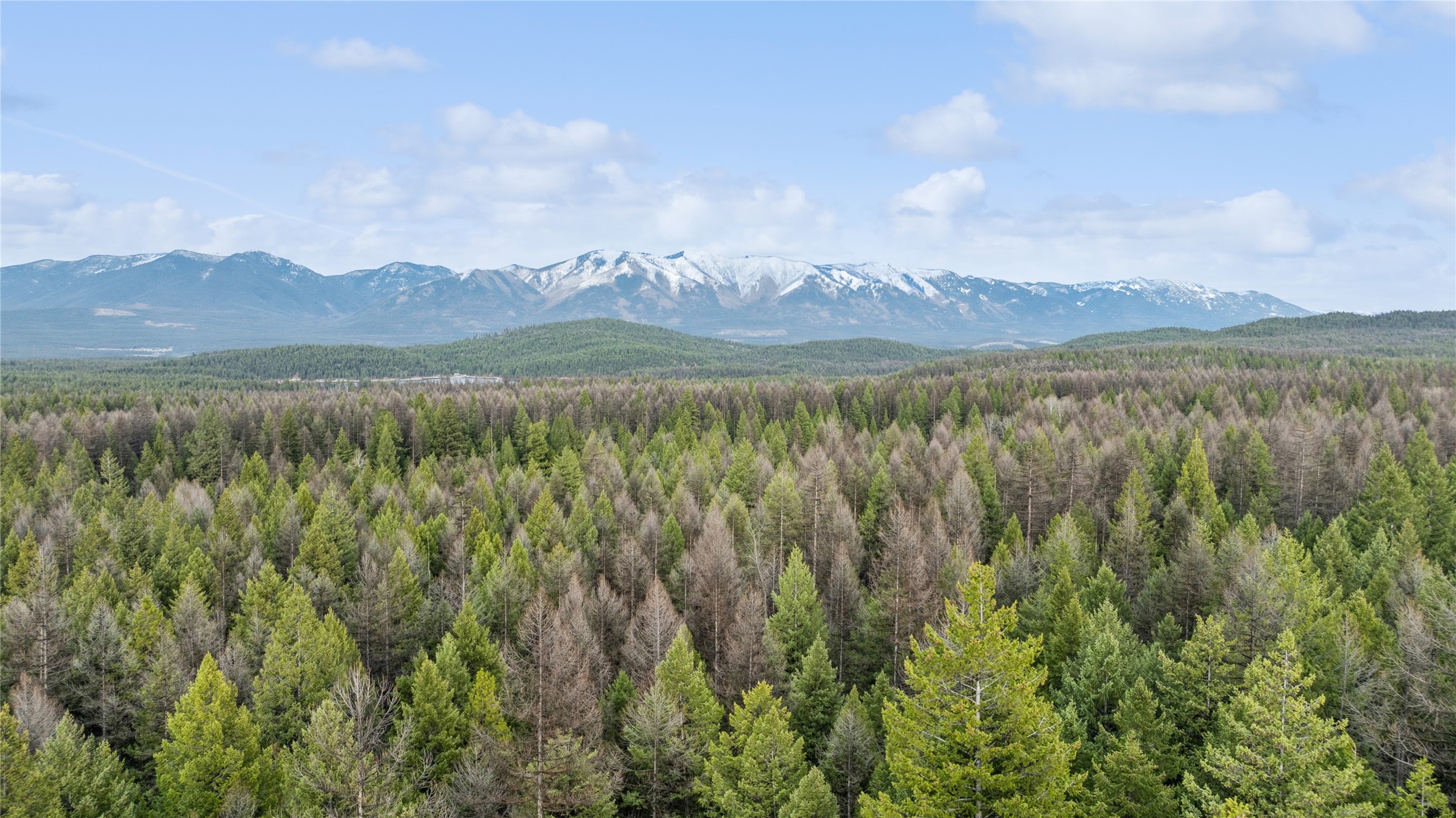 320 Silver Spur Trail