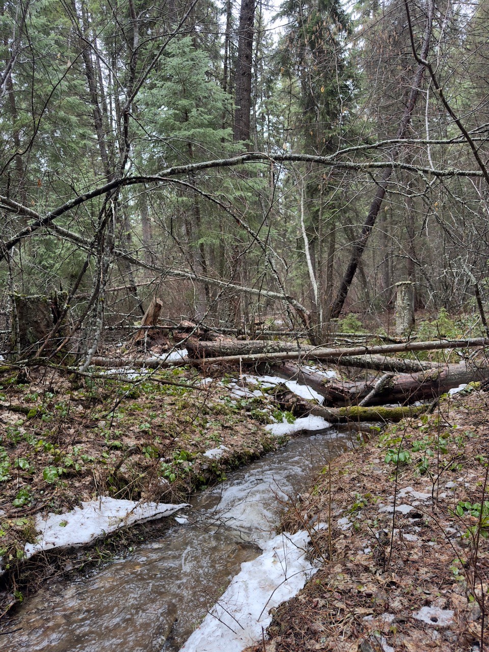 418 Coyote Ridge Pass Road