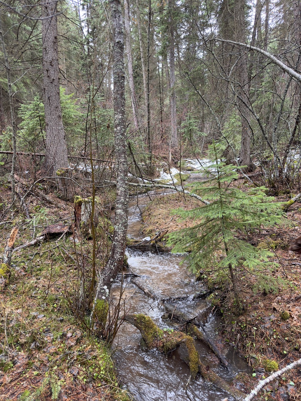 418 Coyote Ridge Pass Road
