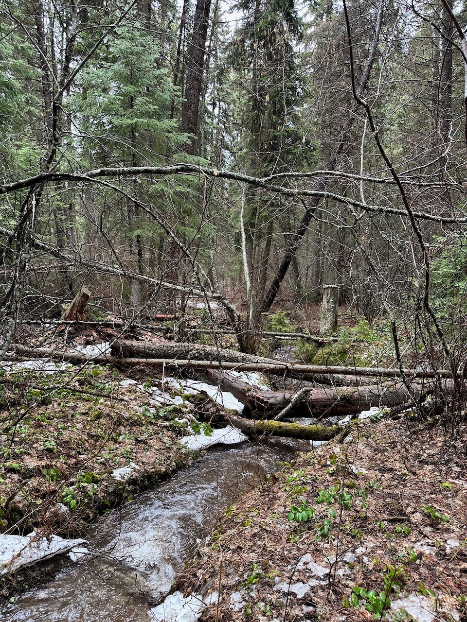 418 Coyote Ridge Pass Road