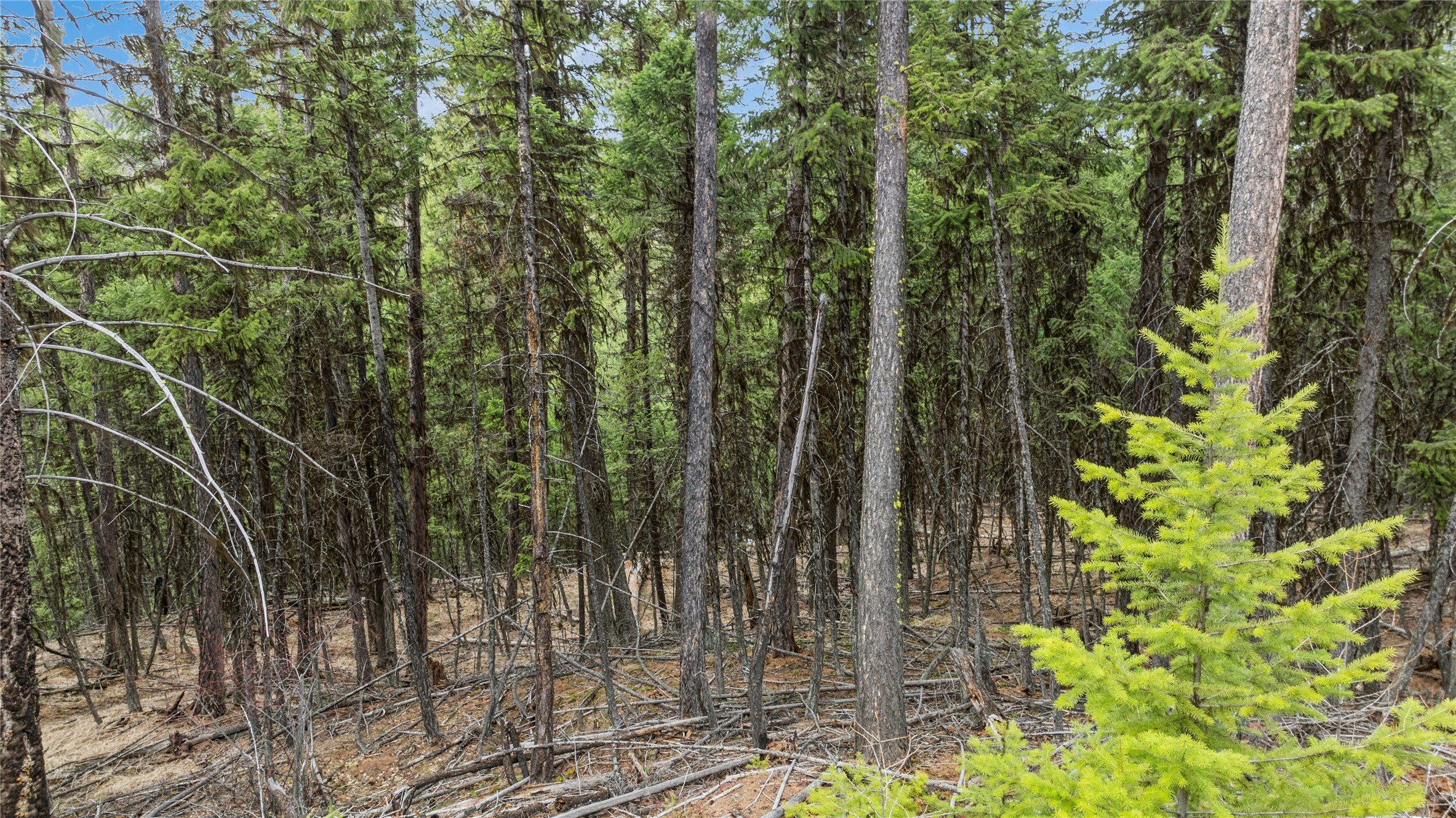 388 Coyote Ridge Pass Road