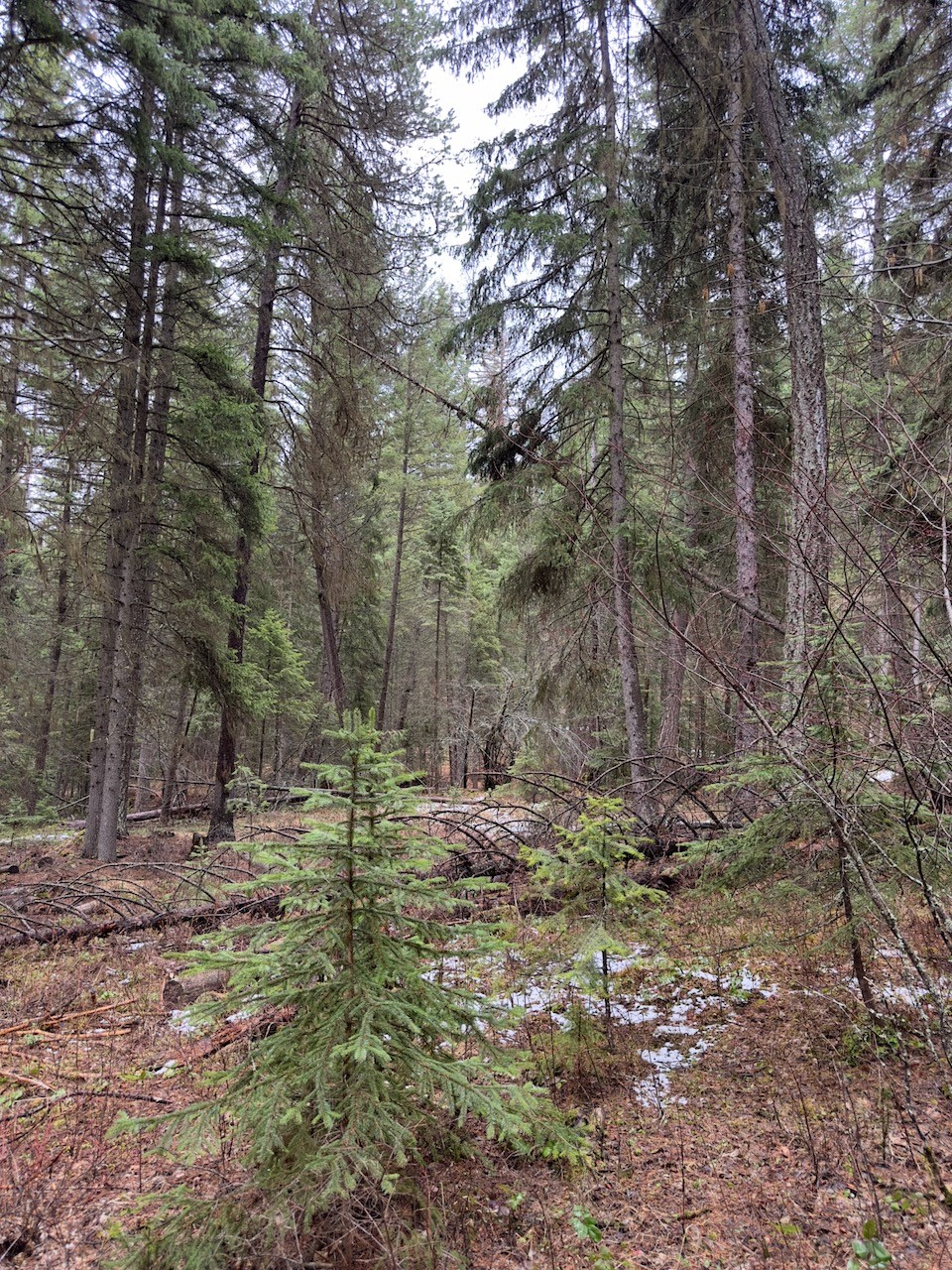 388 Coyote Ridge Pass Road