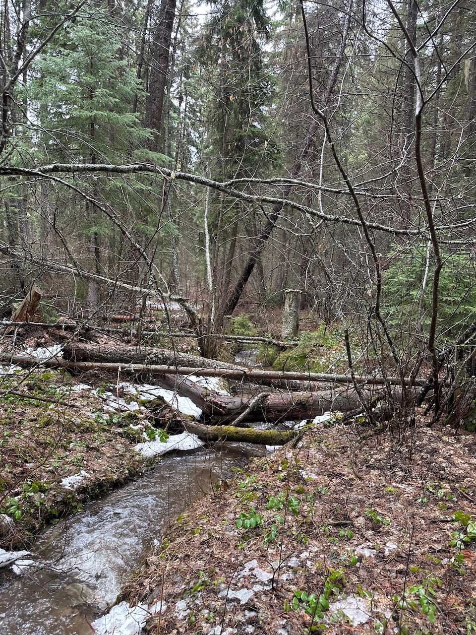 388 Coyote Ridge Pass Road