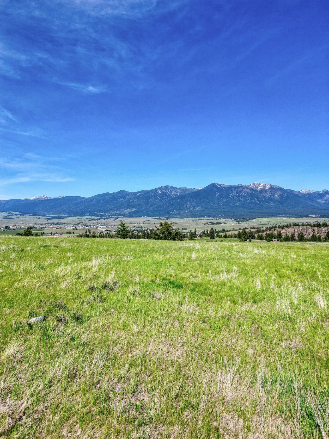 NHN Scenery Hill Drive