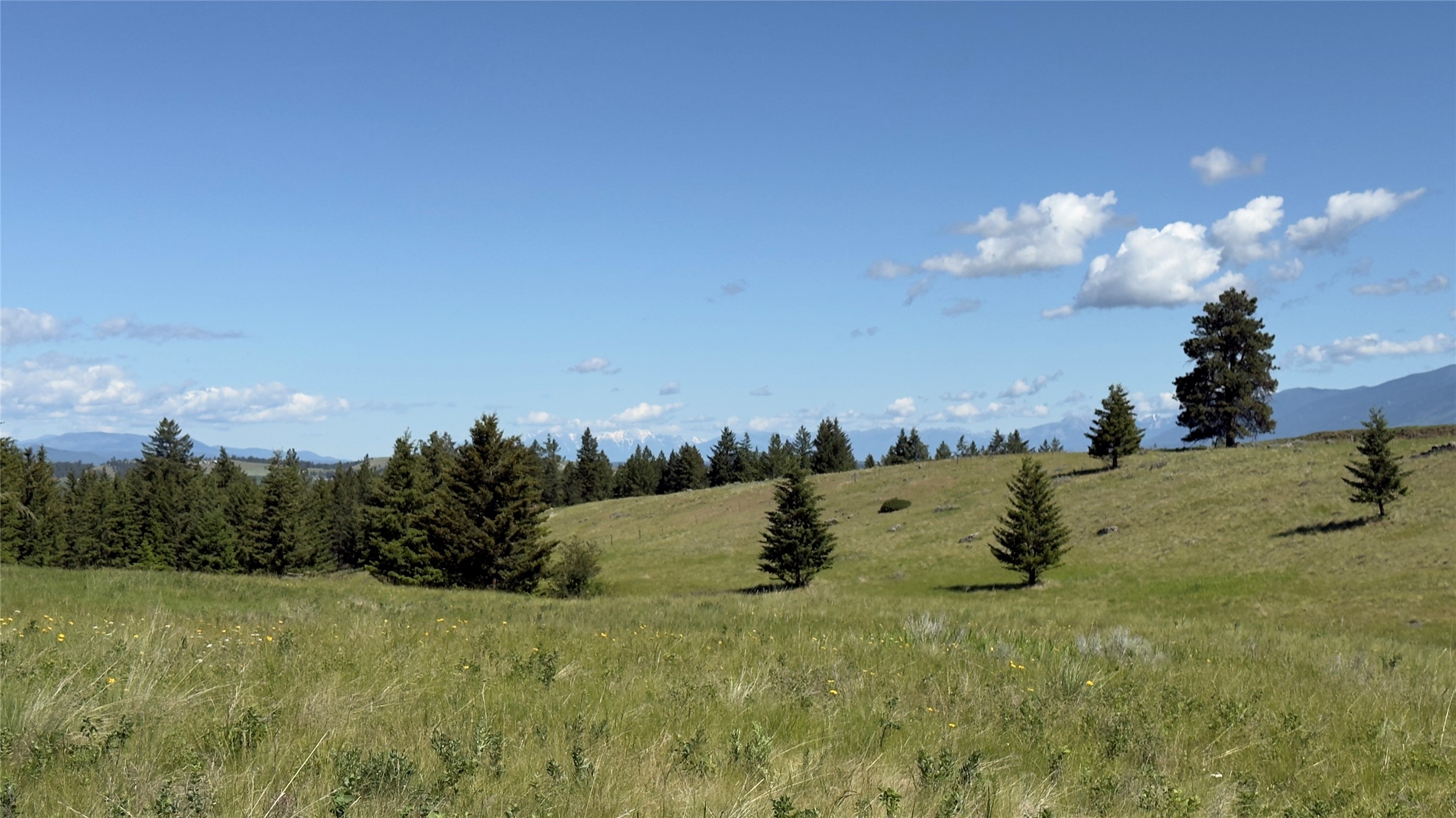 NHN Scenery Hill Drive