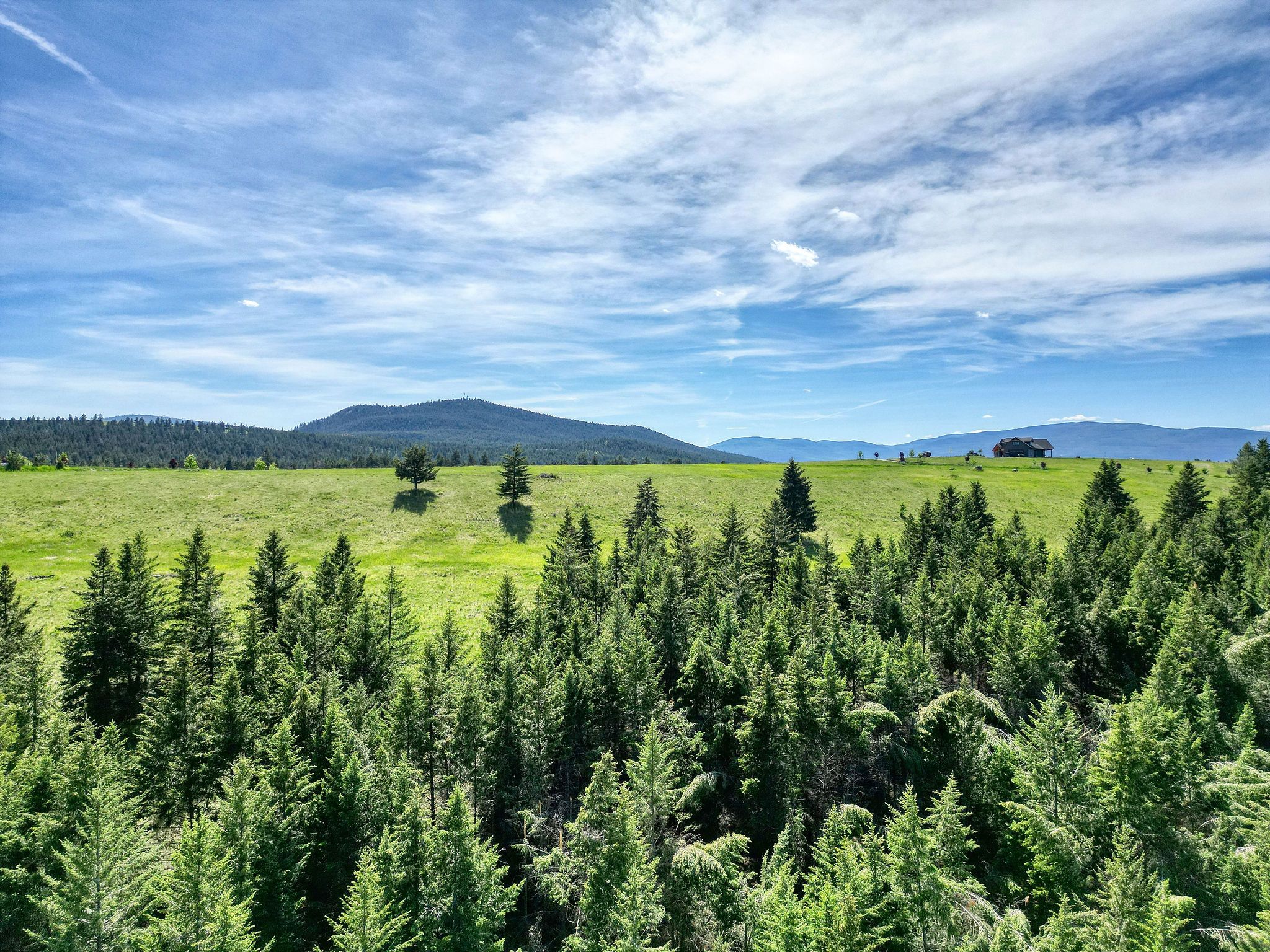 NHN Scenery Hill Drive