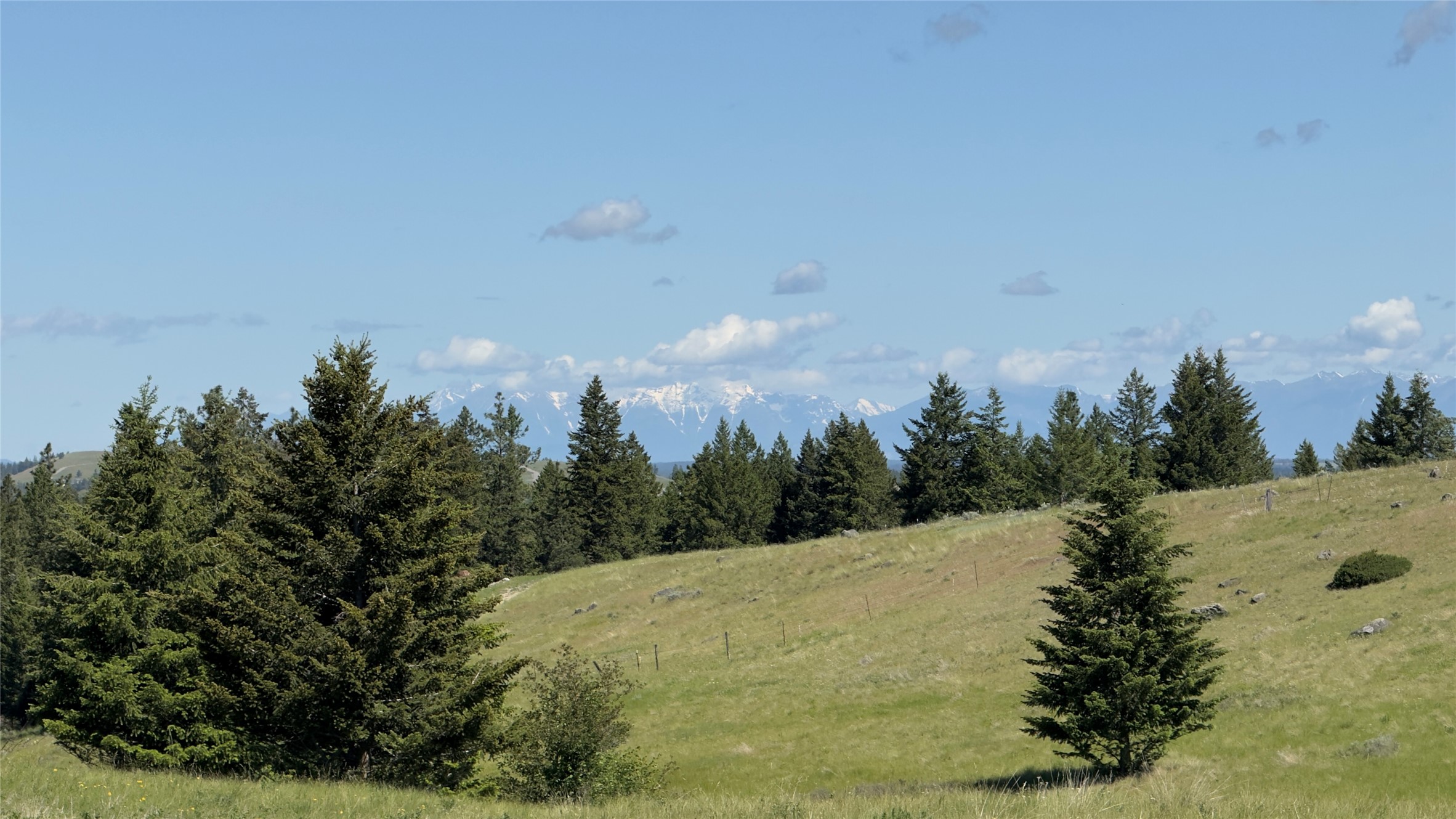 NHN Scenery Hill Drive