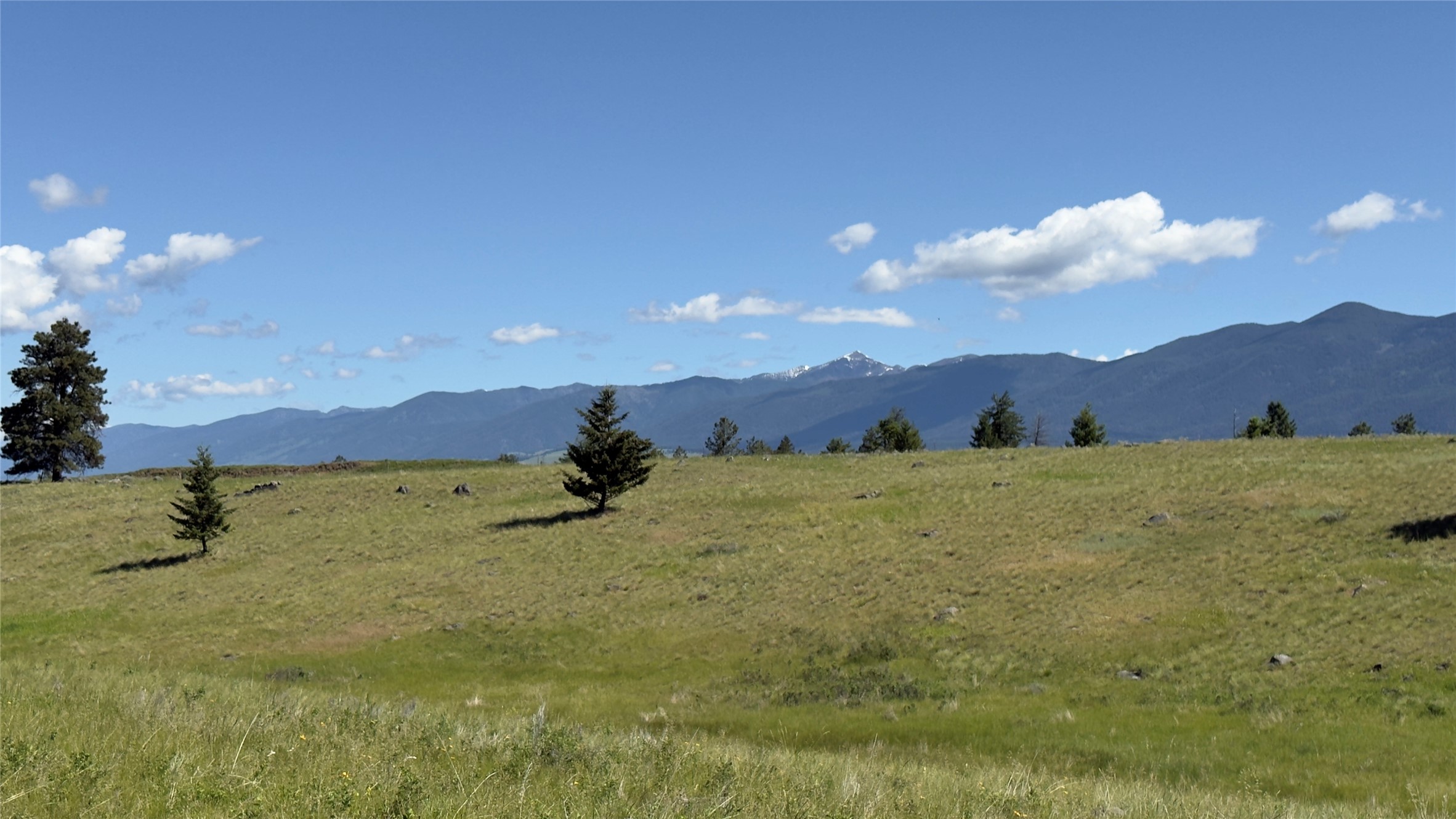 NHN Scenery Hill Drive