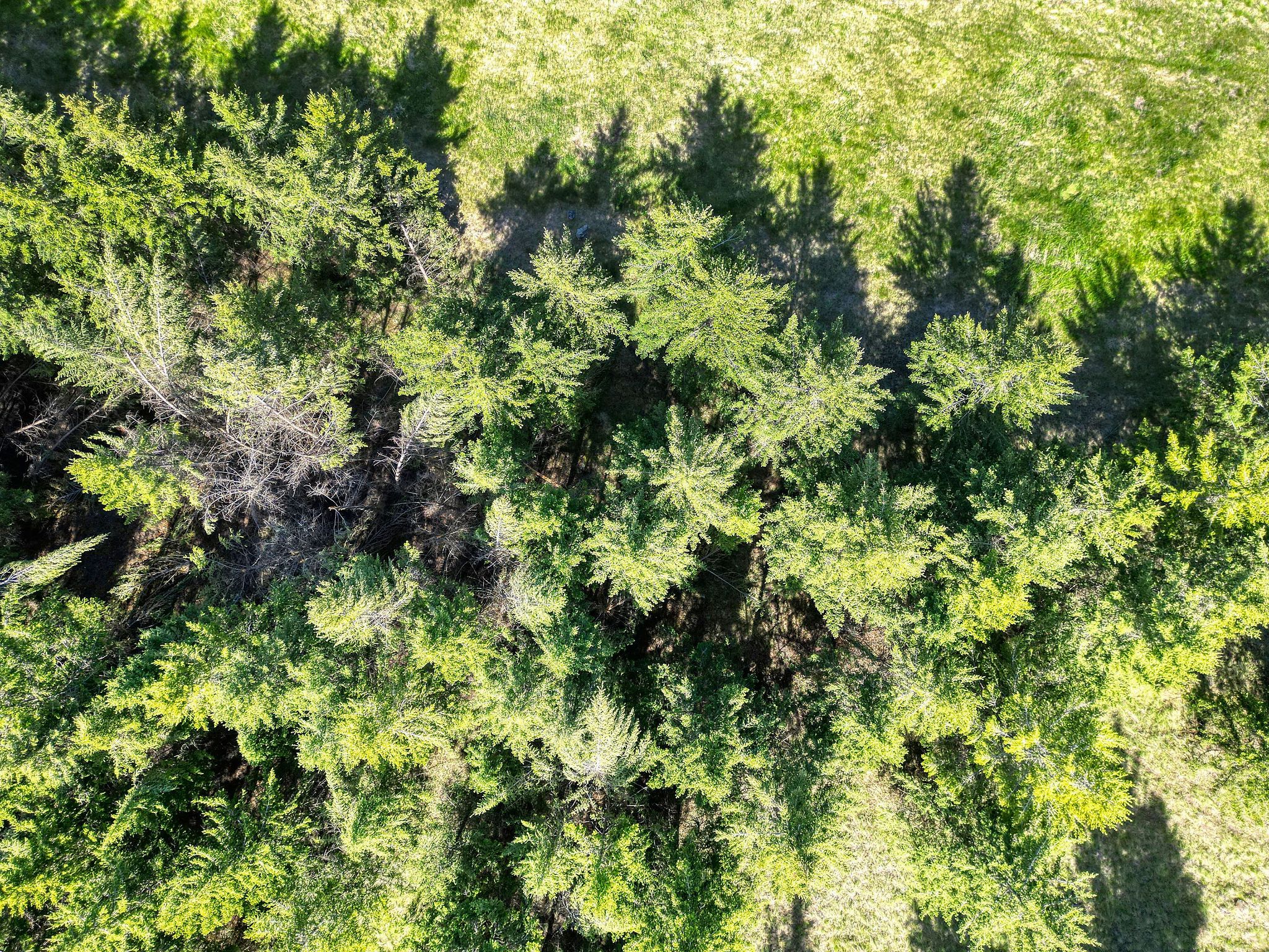 NHN Scenery Hill Drive