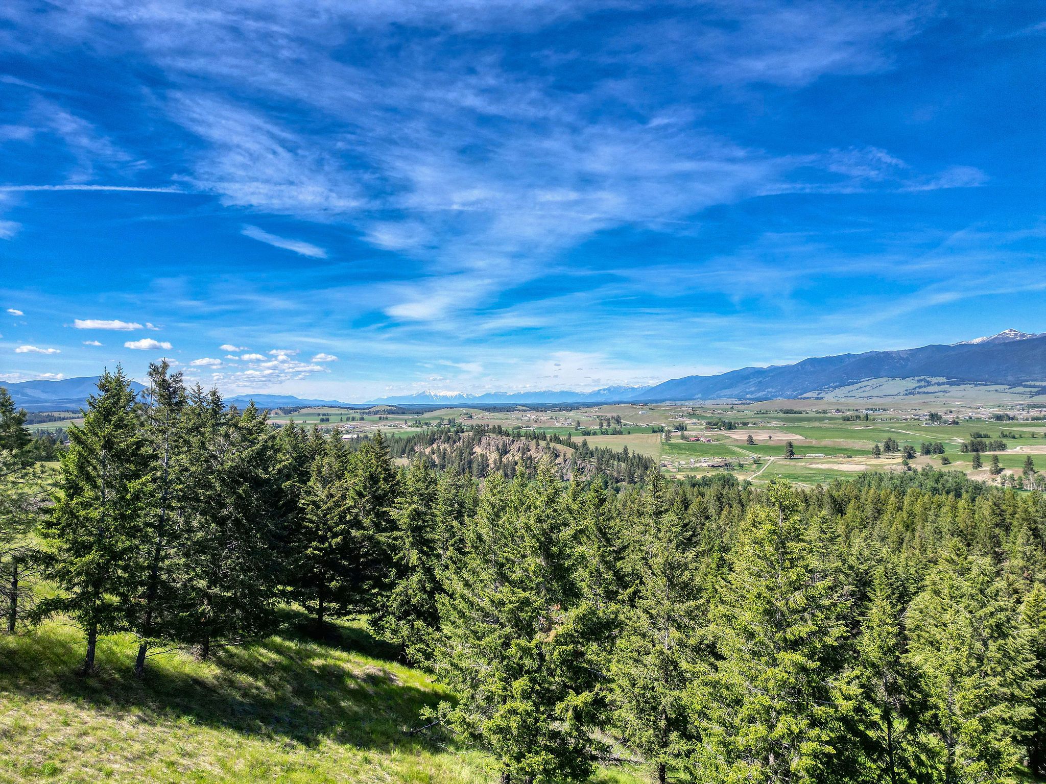 NHN Scenery Hill Drive