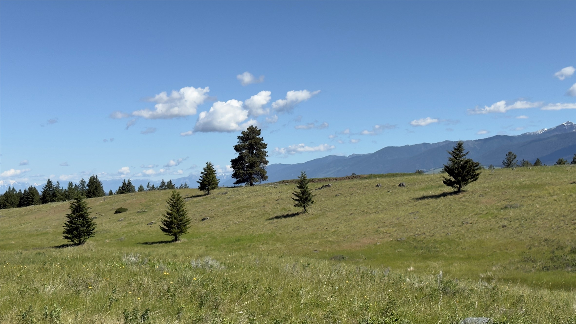 NHN Scenery Hill Drive