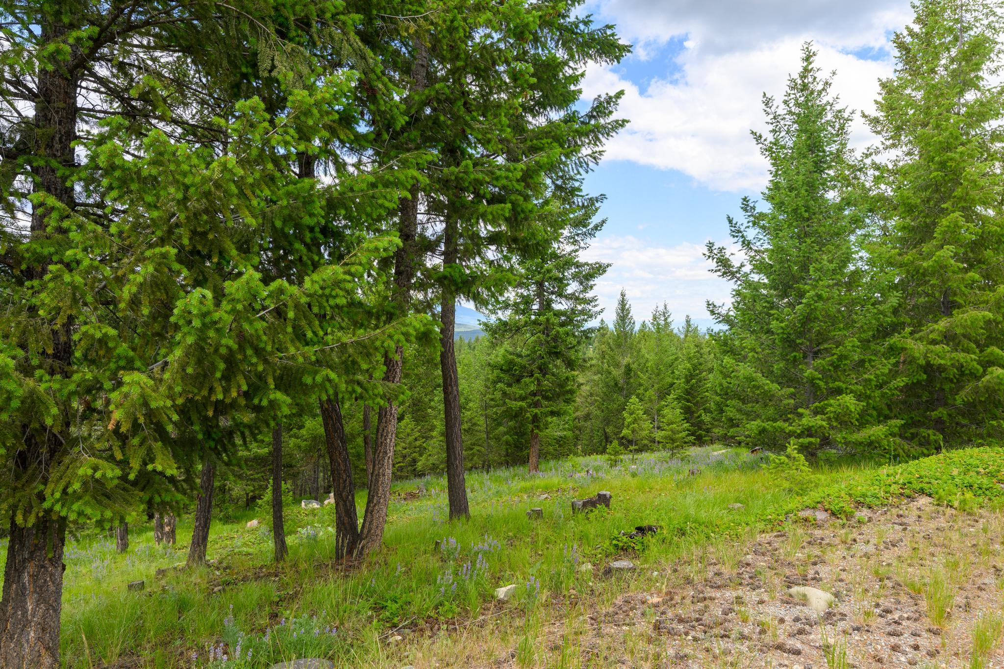 NHN Linda Vista Drive