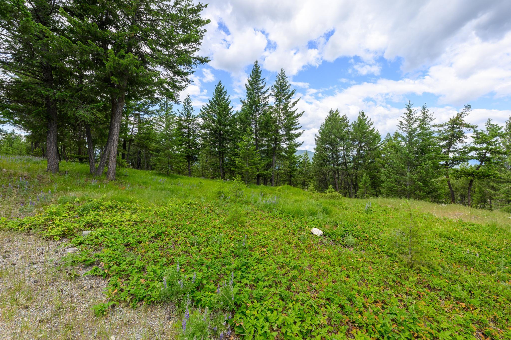 NHN Linda Vista Drive