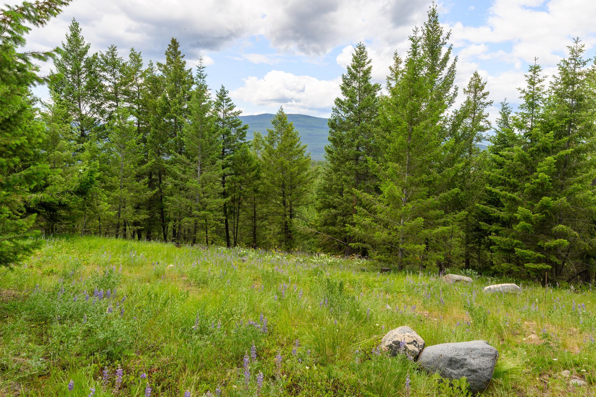 NHN Linda Vista Drive