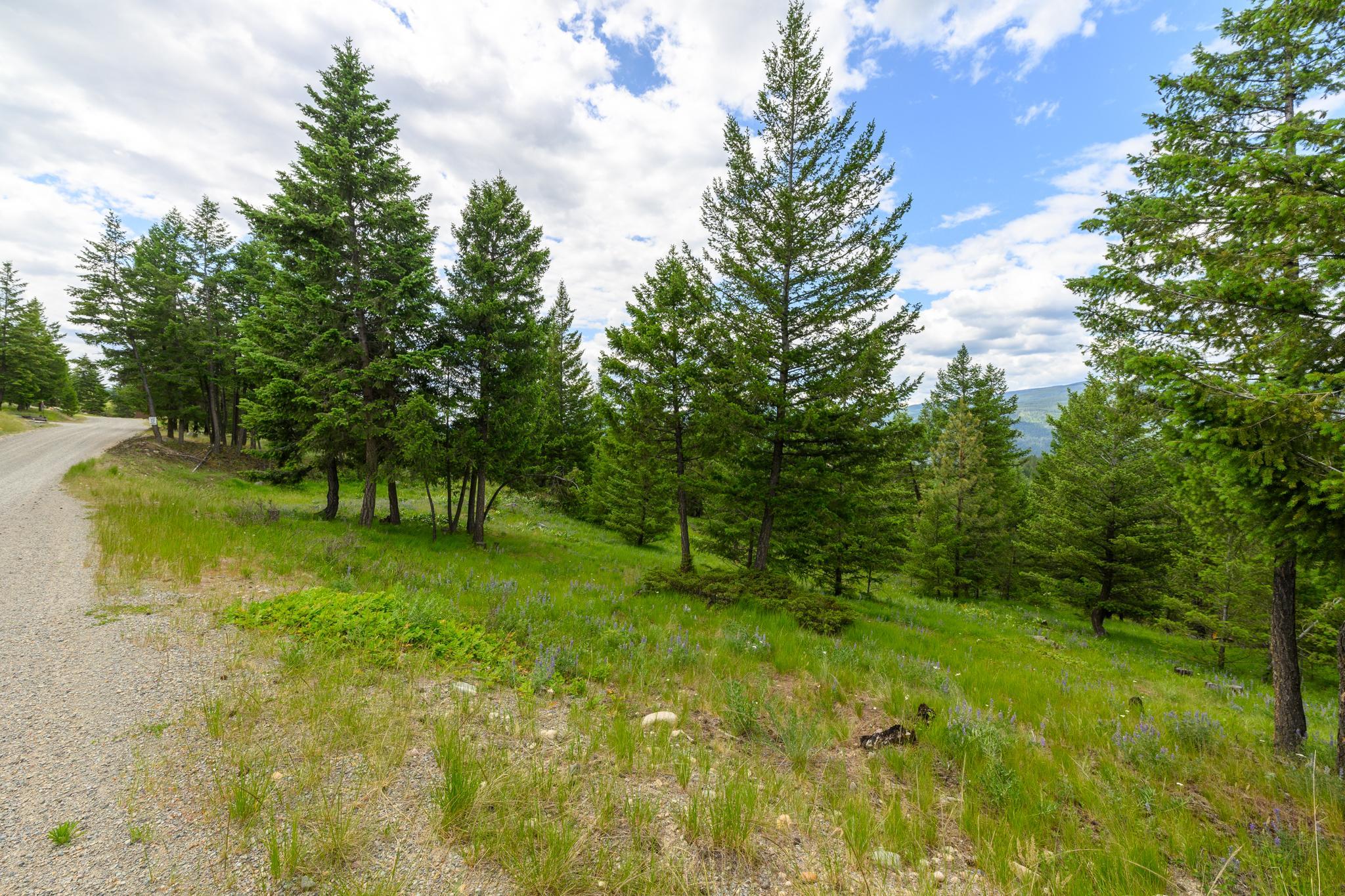 NHN Linda Vista Drive