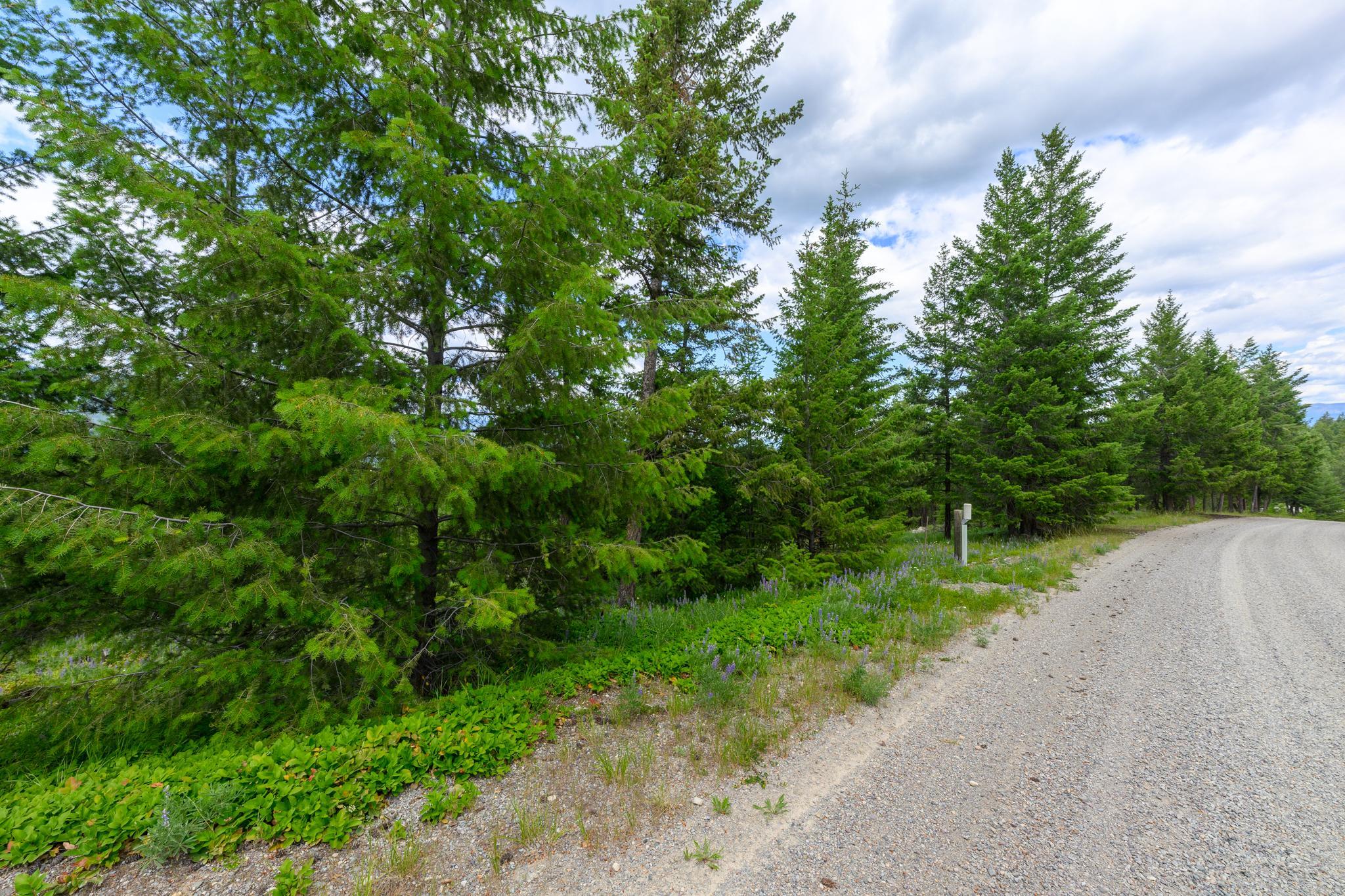 NHN Linda Vista Drive