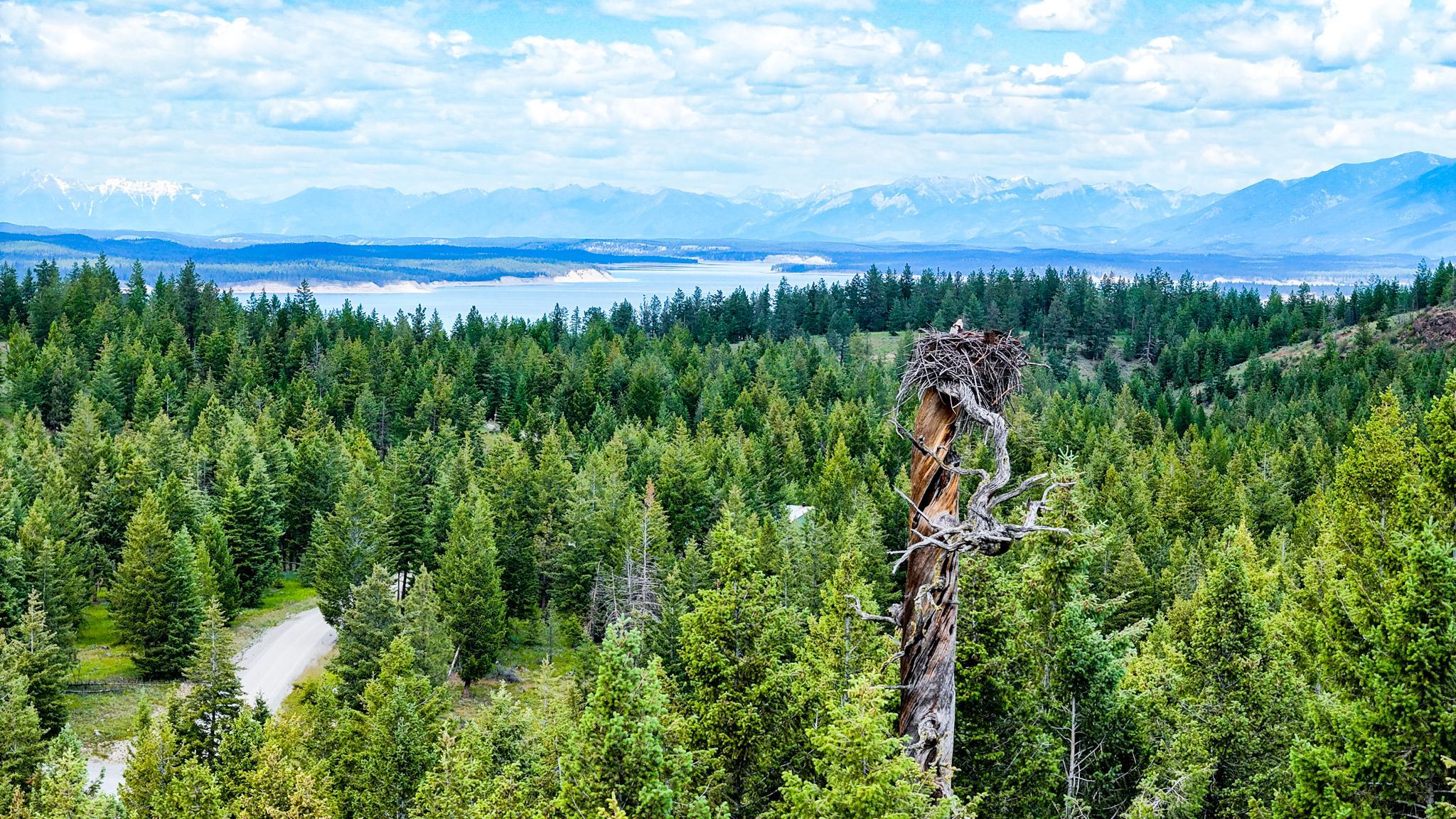 NHN Linda Vista Drive