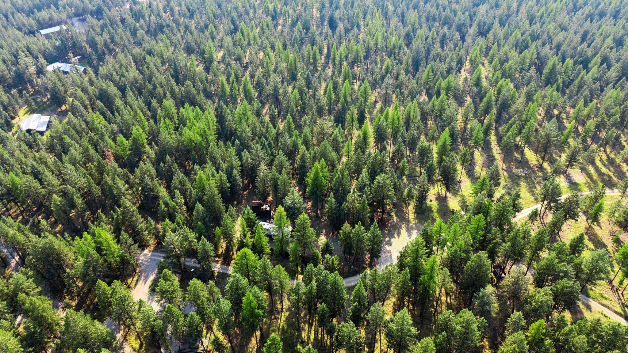 227 Elk Trail