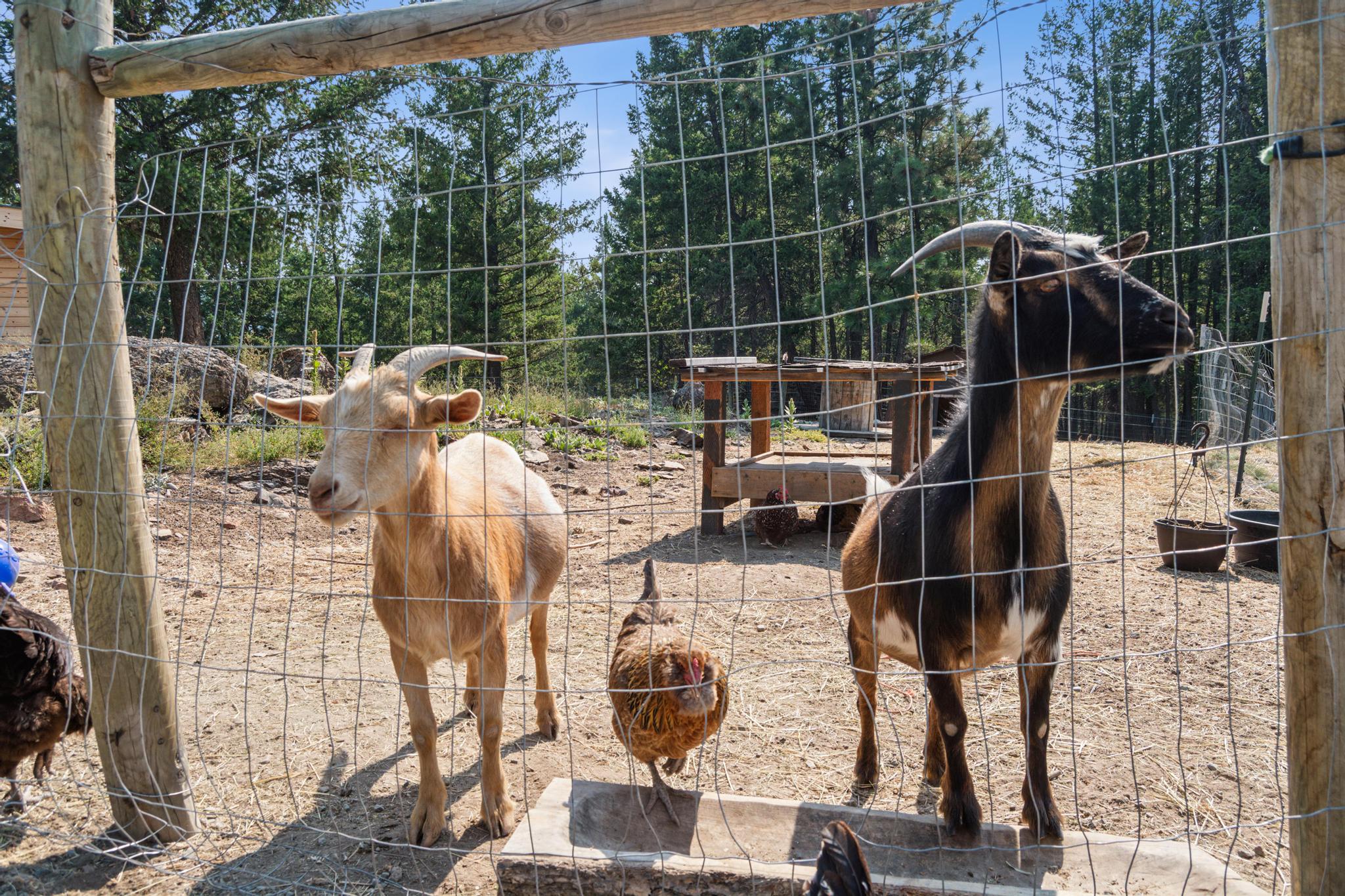 1284 Paradise Ridge Road