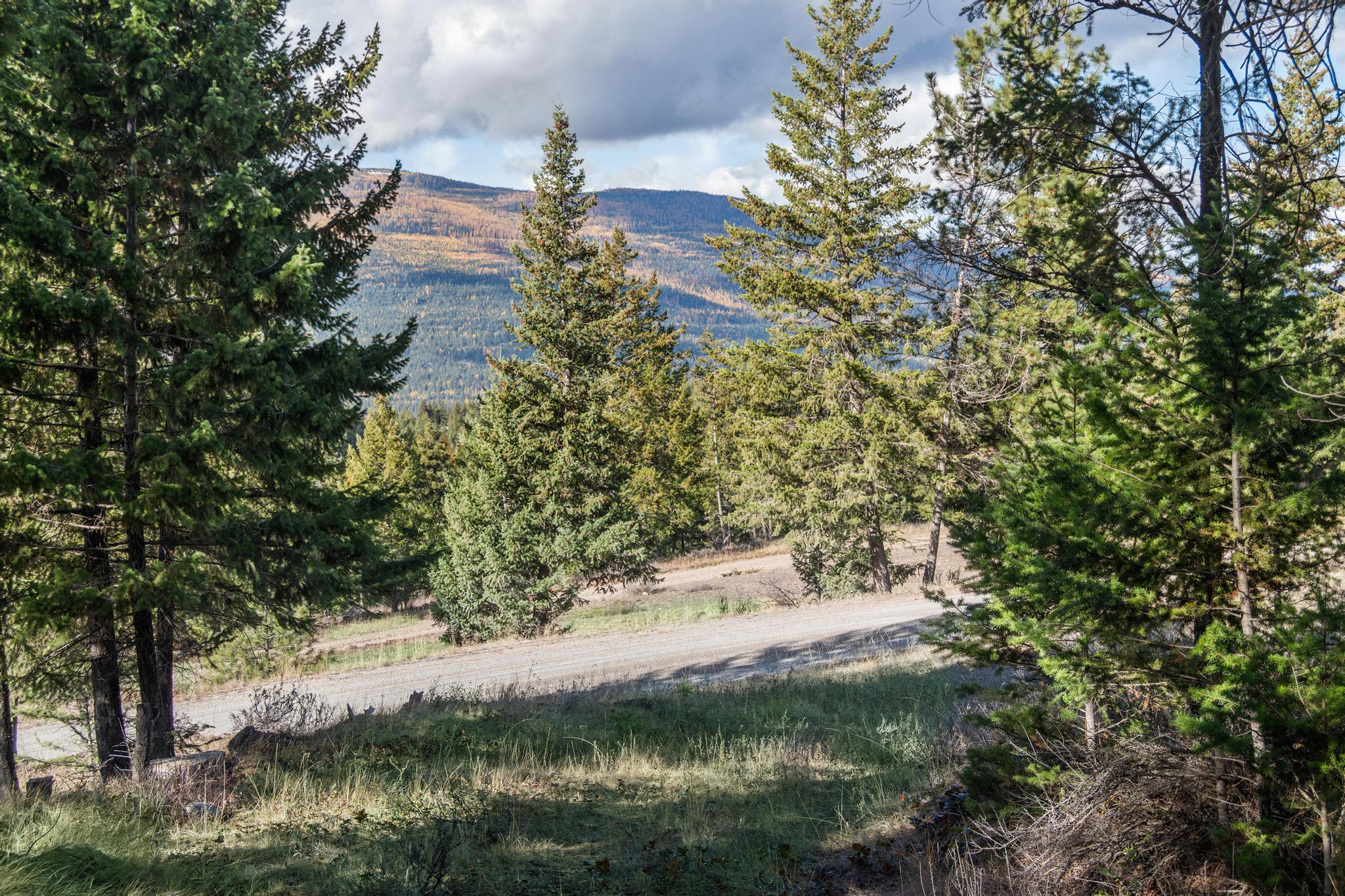 NHN Paradise Ridge Road