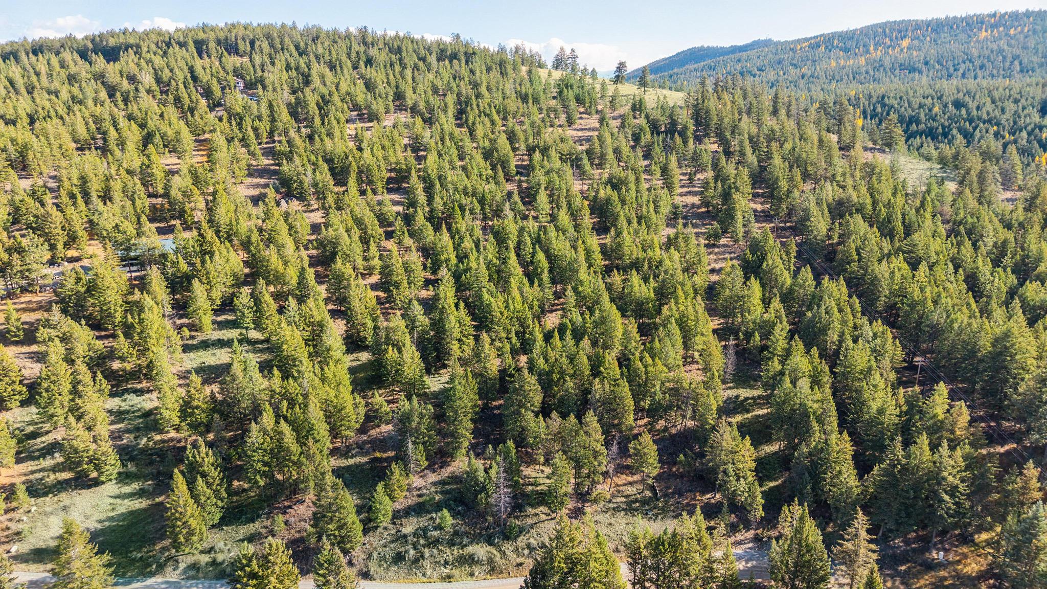 NHN Paradise Ridge Road