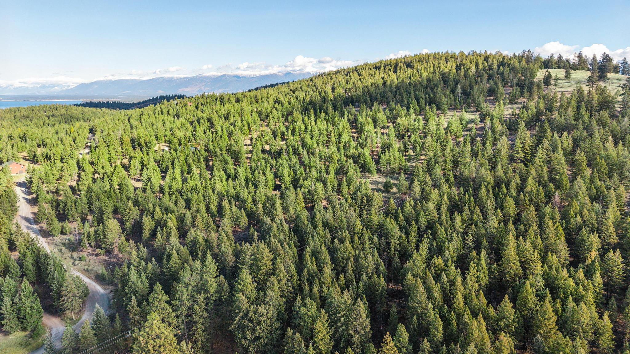 NHN Paradise Ridge Road