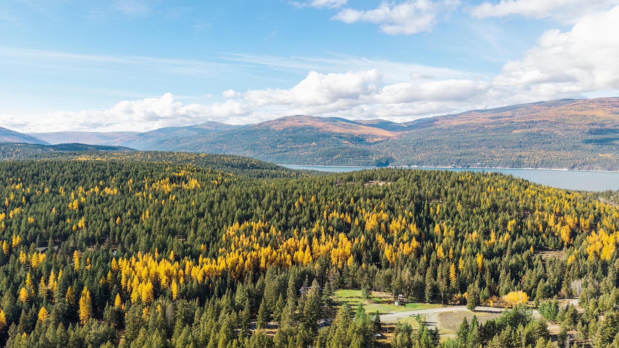 NHN Paradise Ridge Road