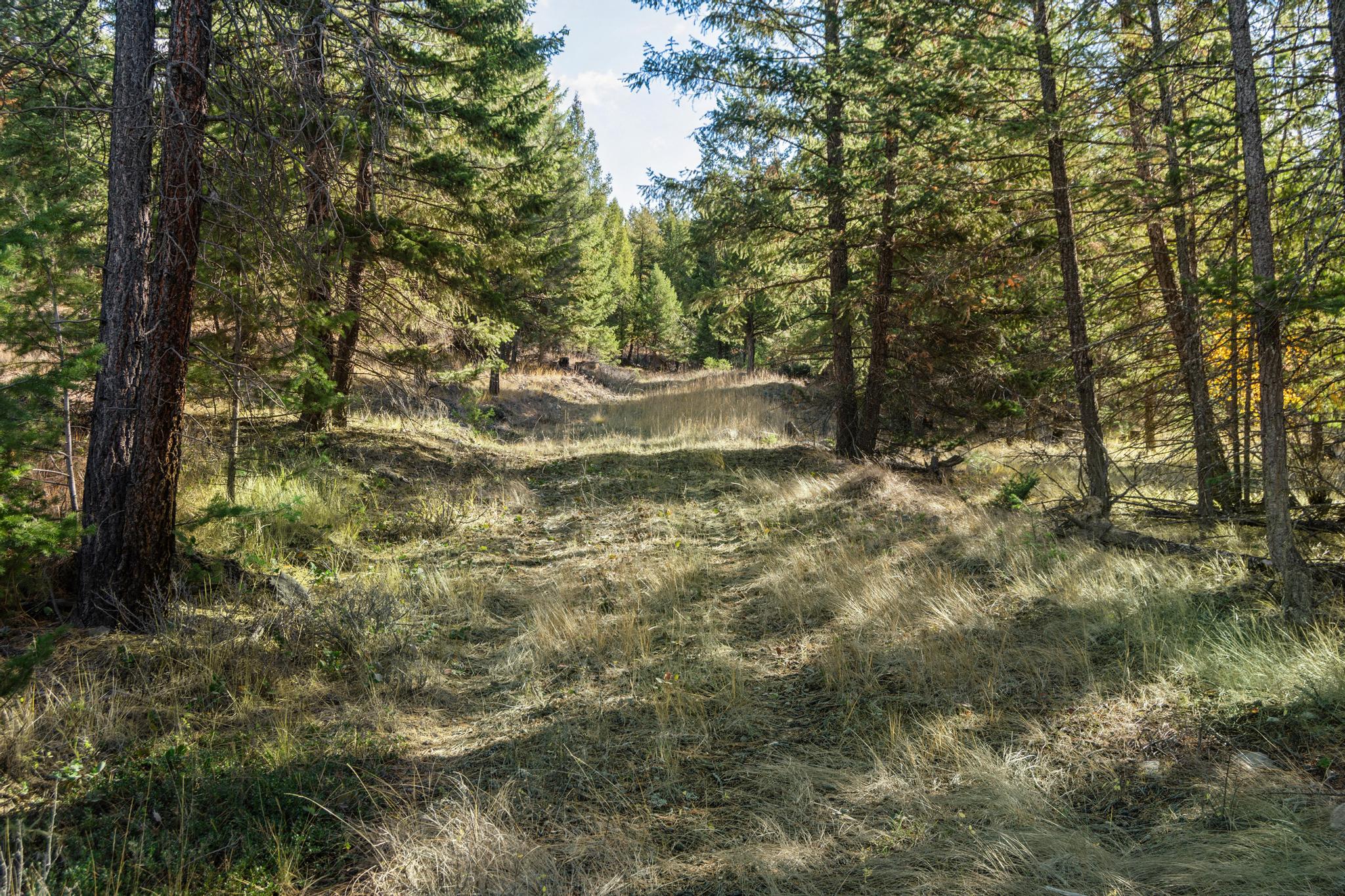 NHN Paradise Ridge Road