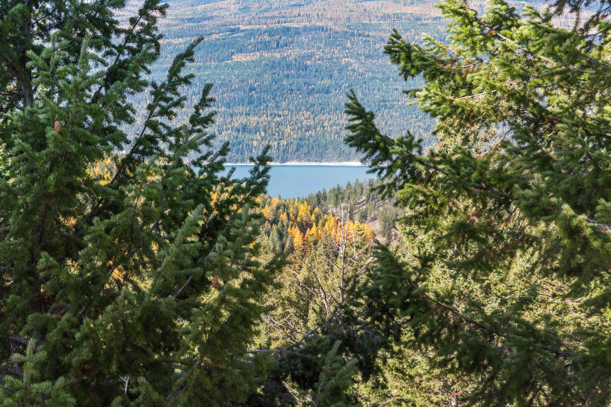 NHN Paradise Ridge Road