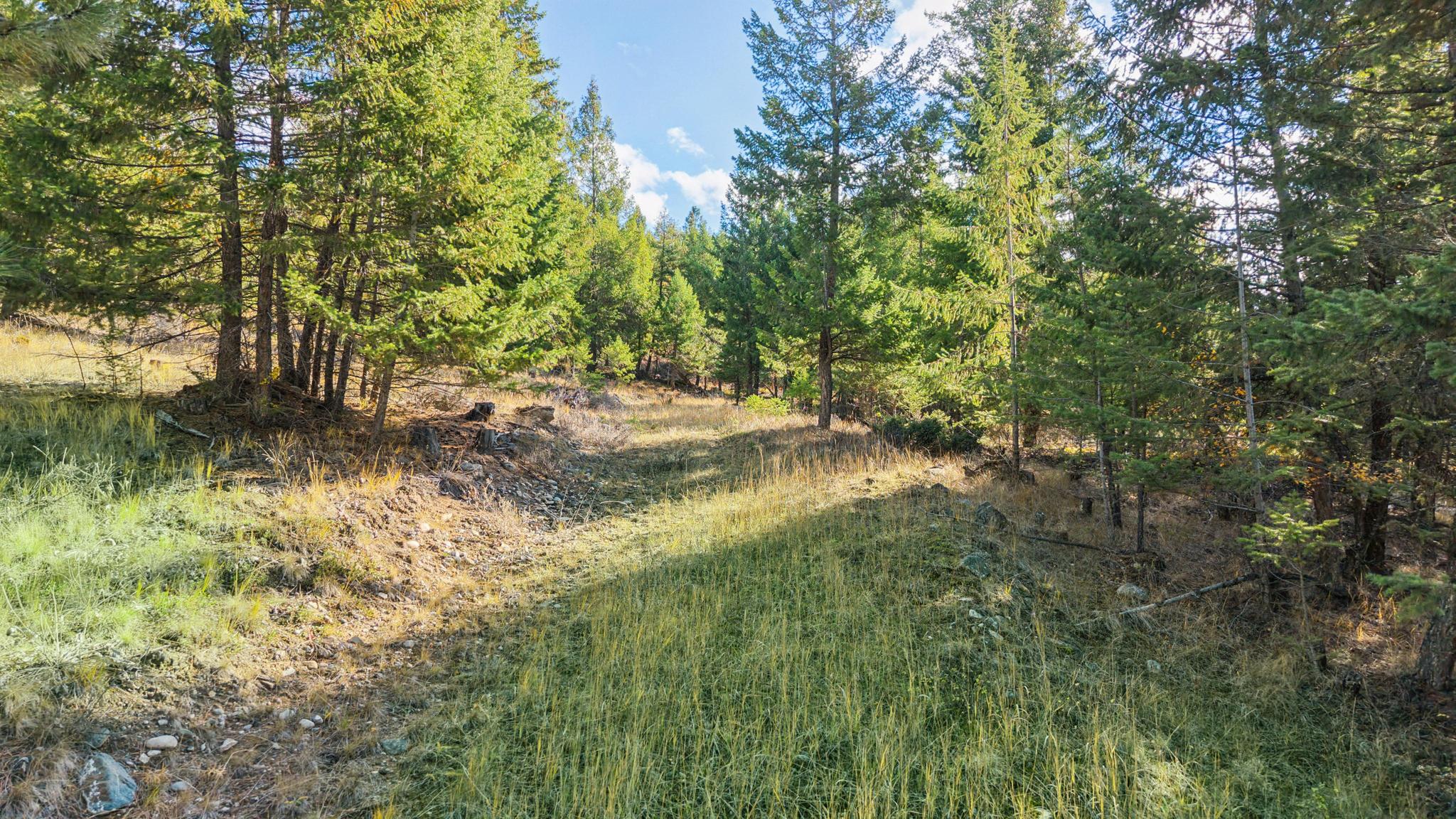 NHN Paradise Ridge Road