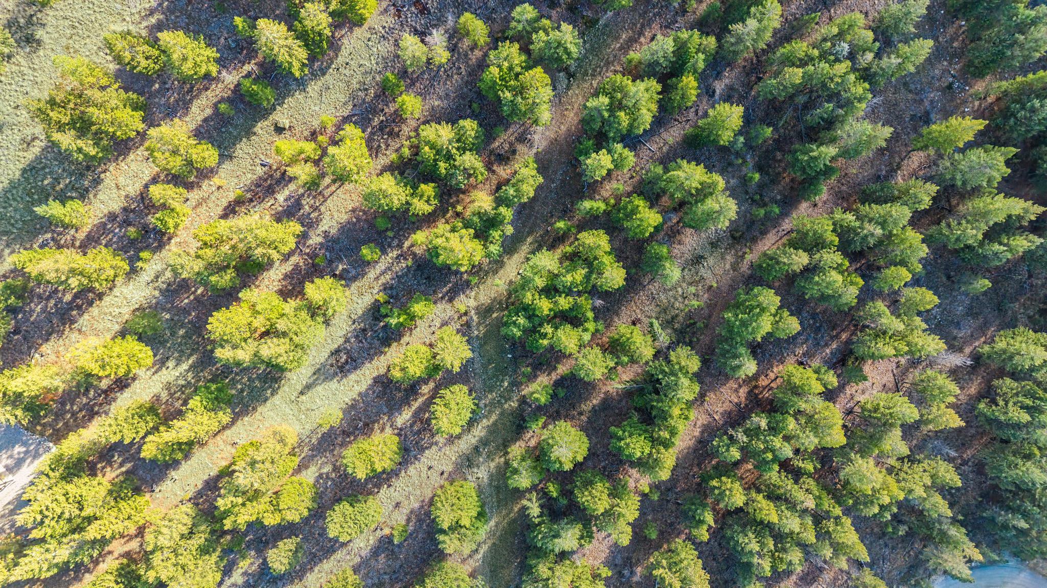 NHN Paradise Ridge Road