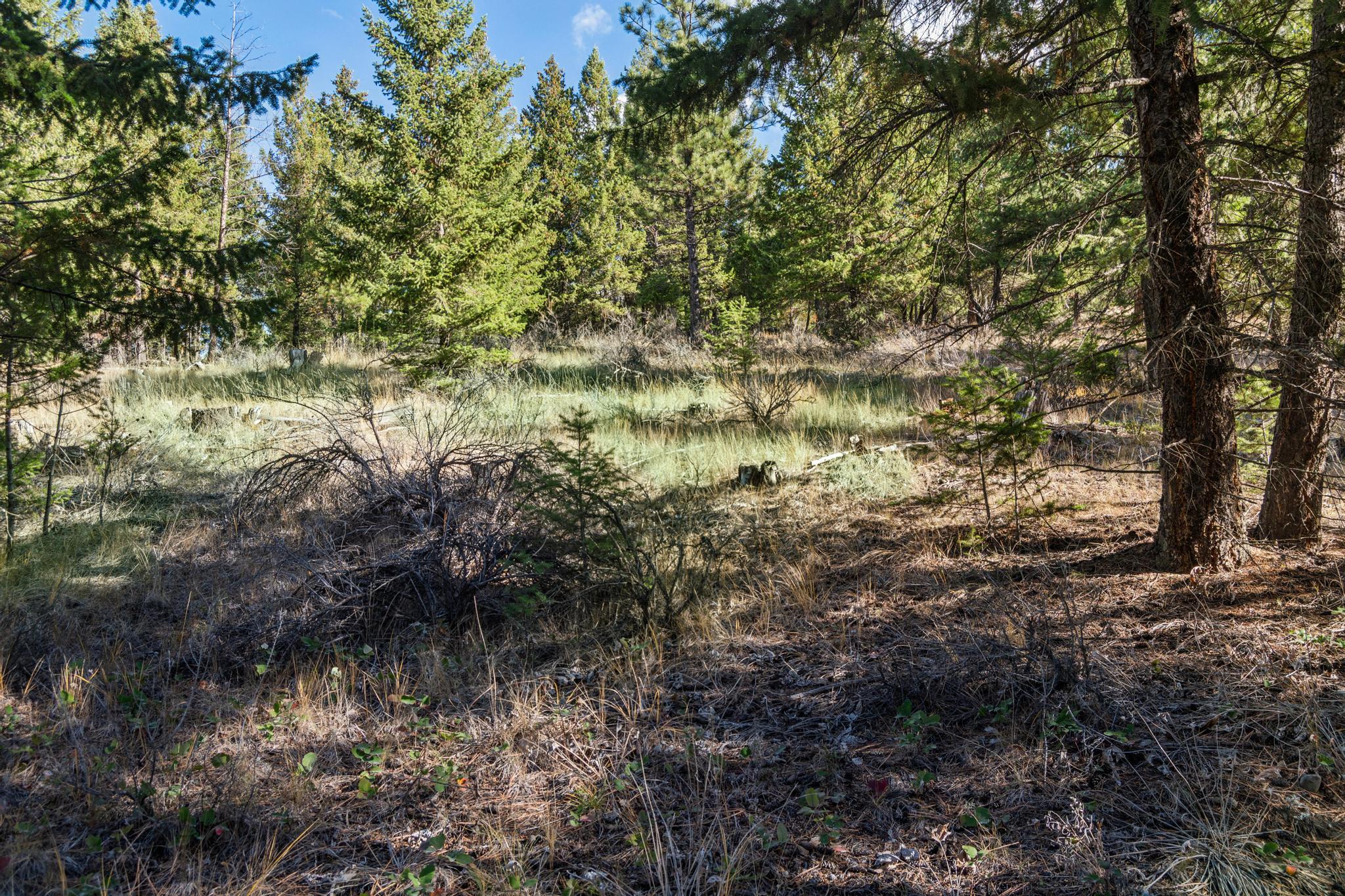 NHN Paradise Ridge Road