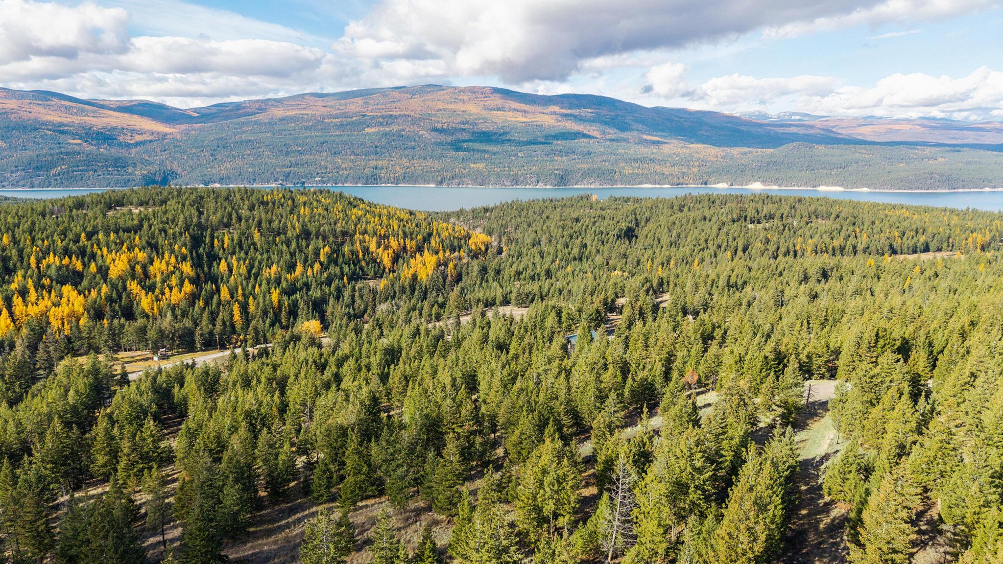 NHN Paradise Ridge Road