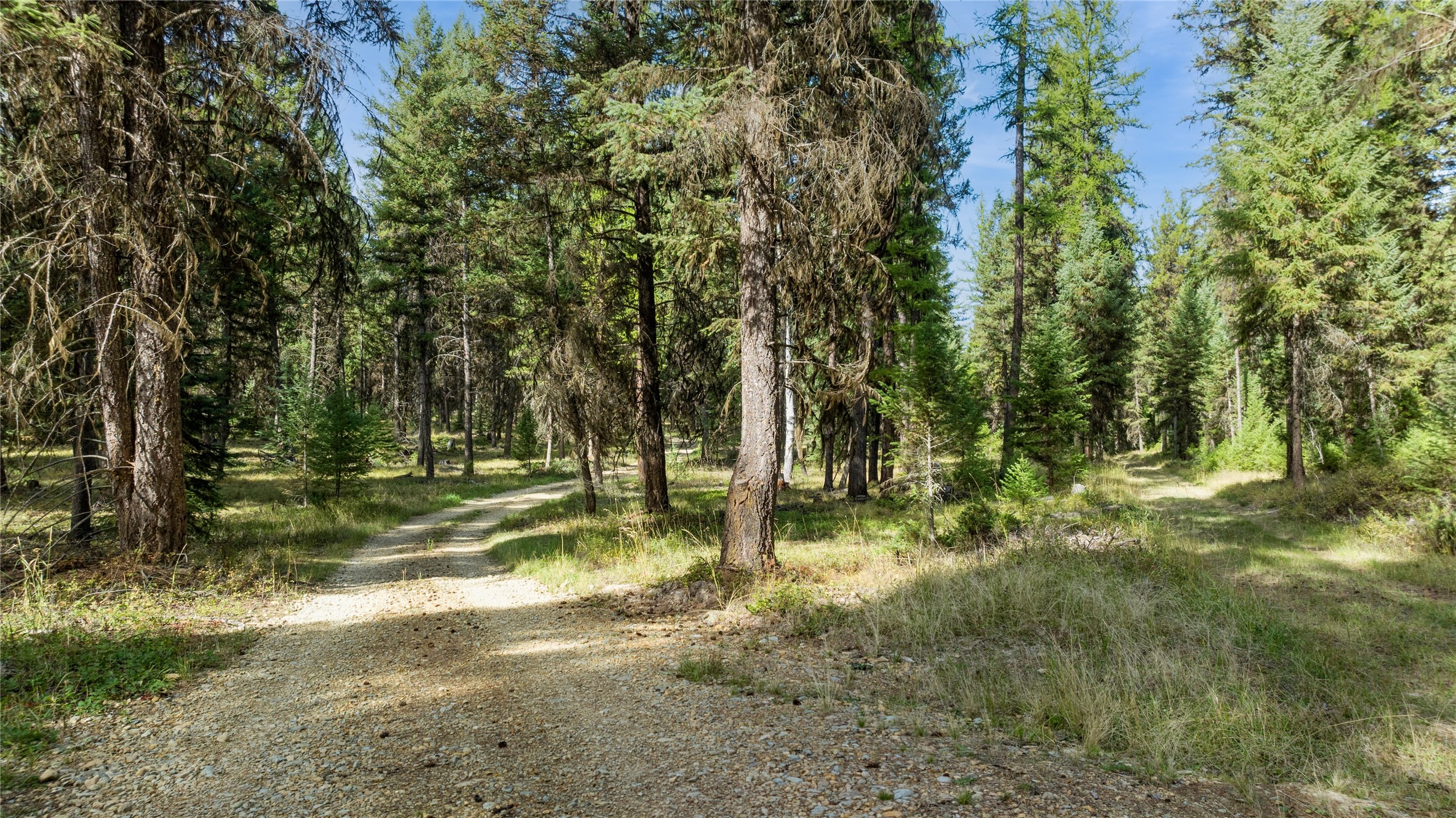 3217 Loon Lake Road