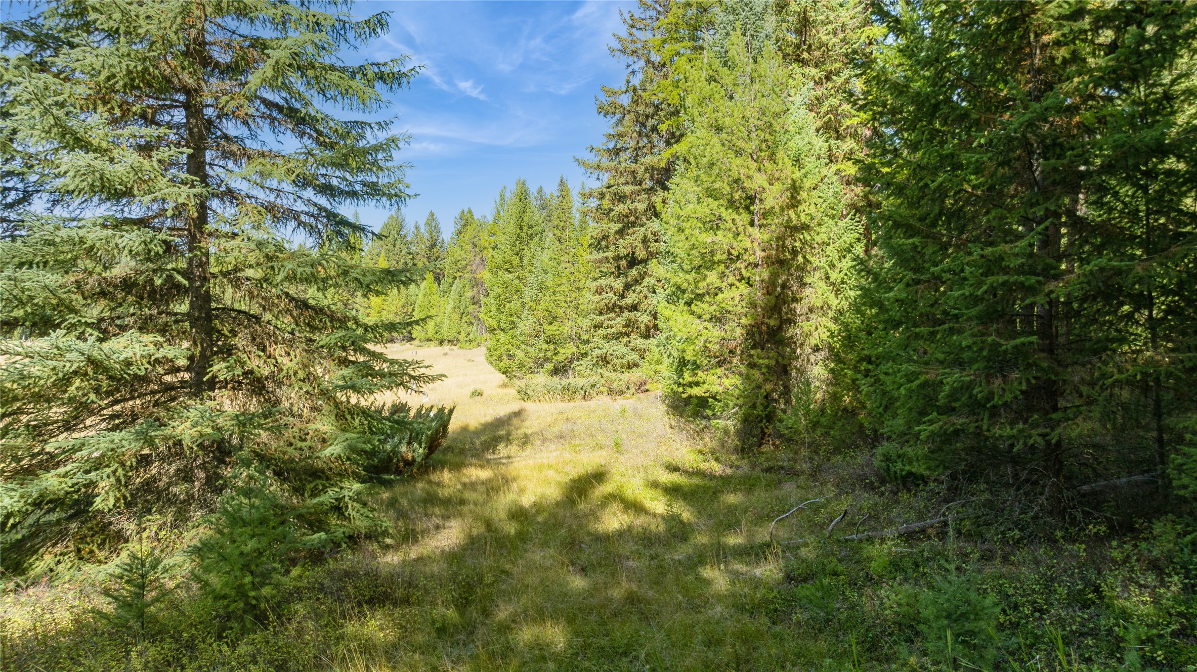 3217 Loon Lake Road