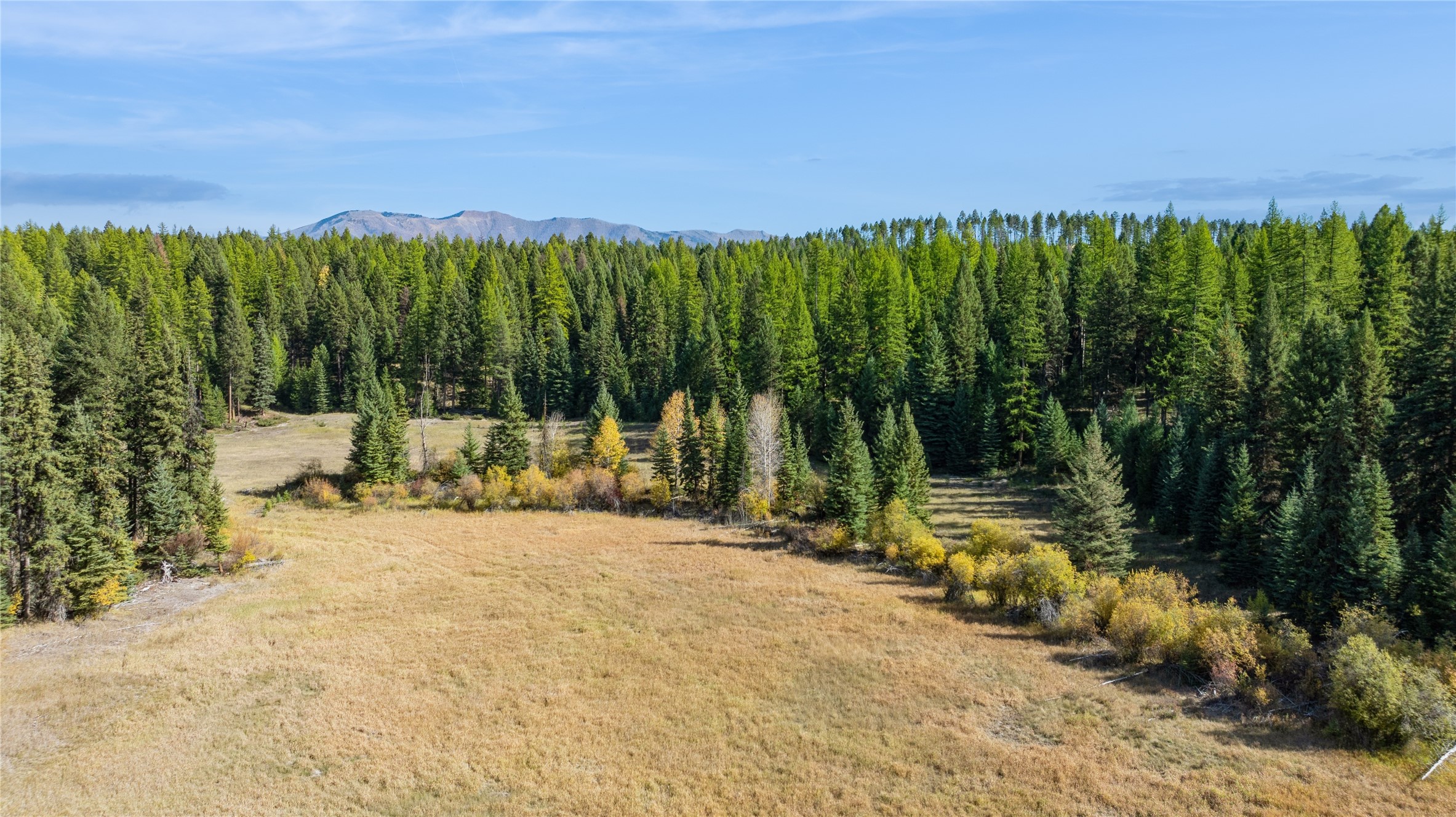 3217 Loon Lake Road