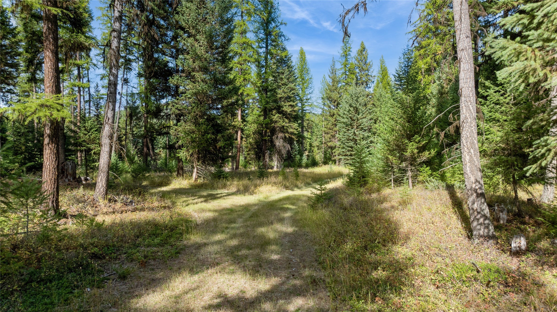 3217 Loon Lake Road