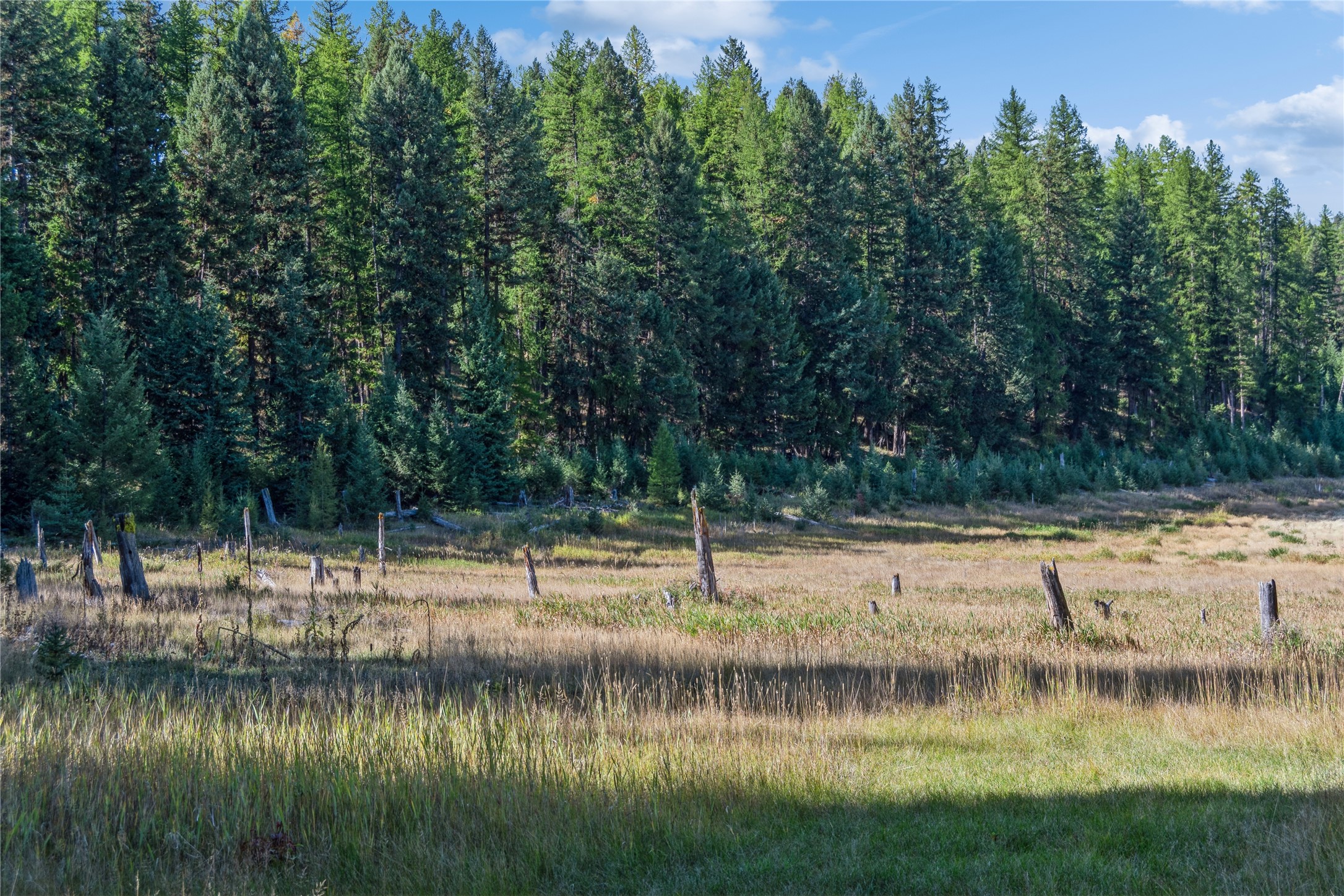 3217 Loon Lake Road