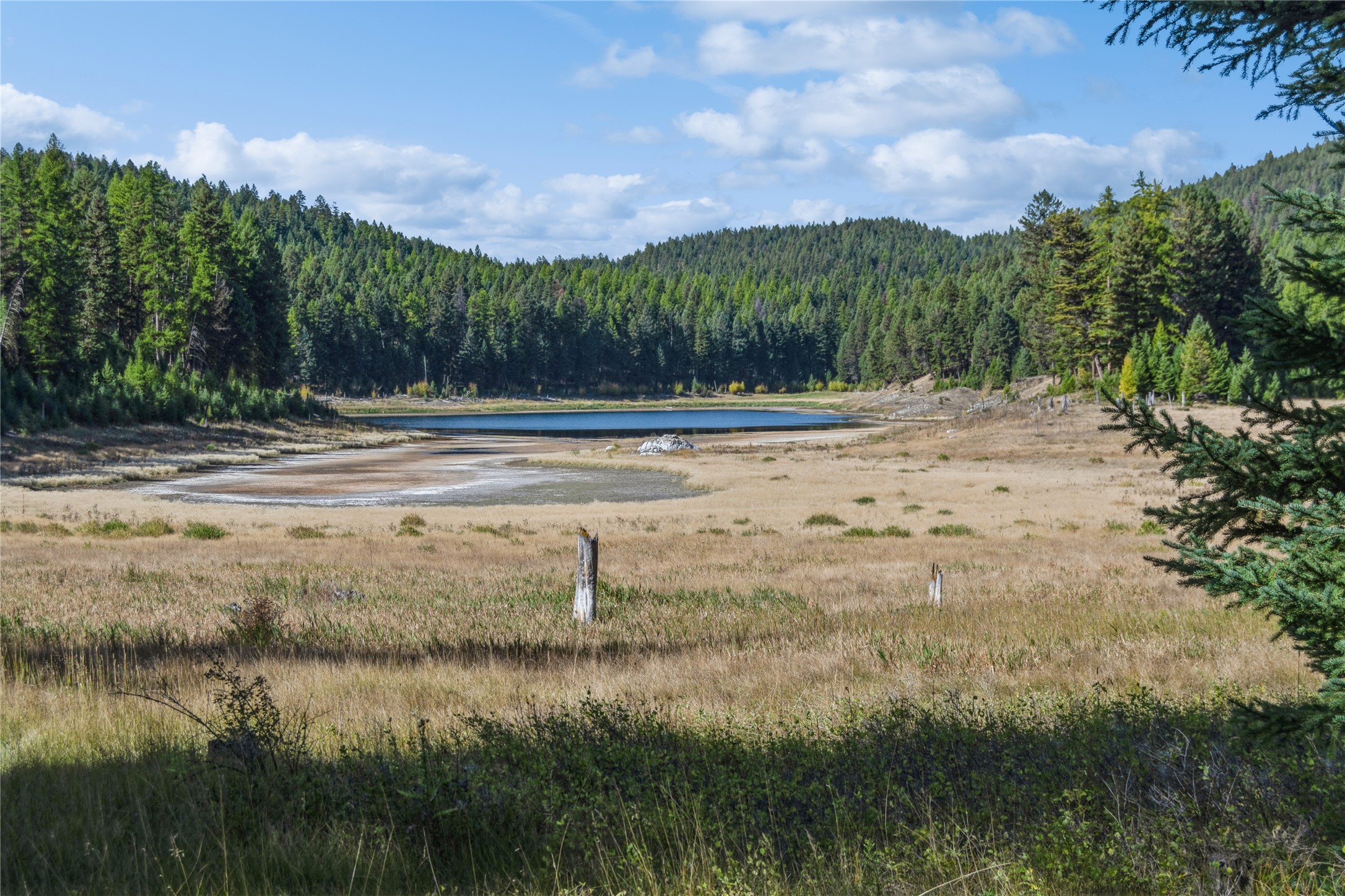 3217 Loon Lake Road
