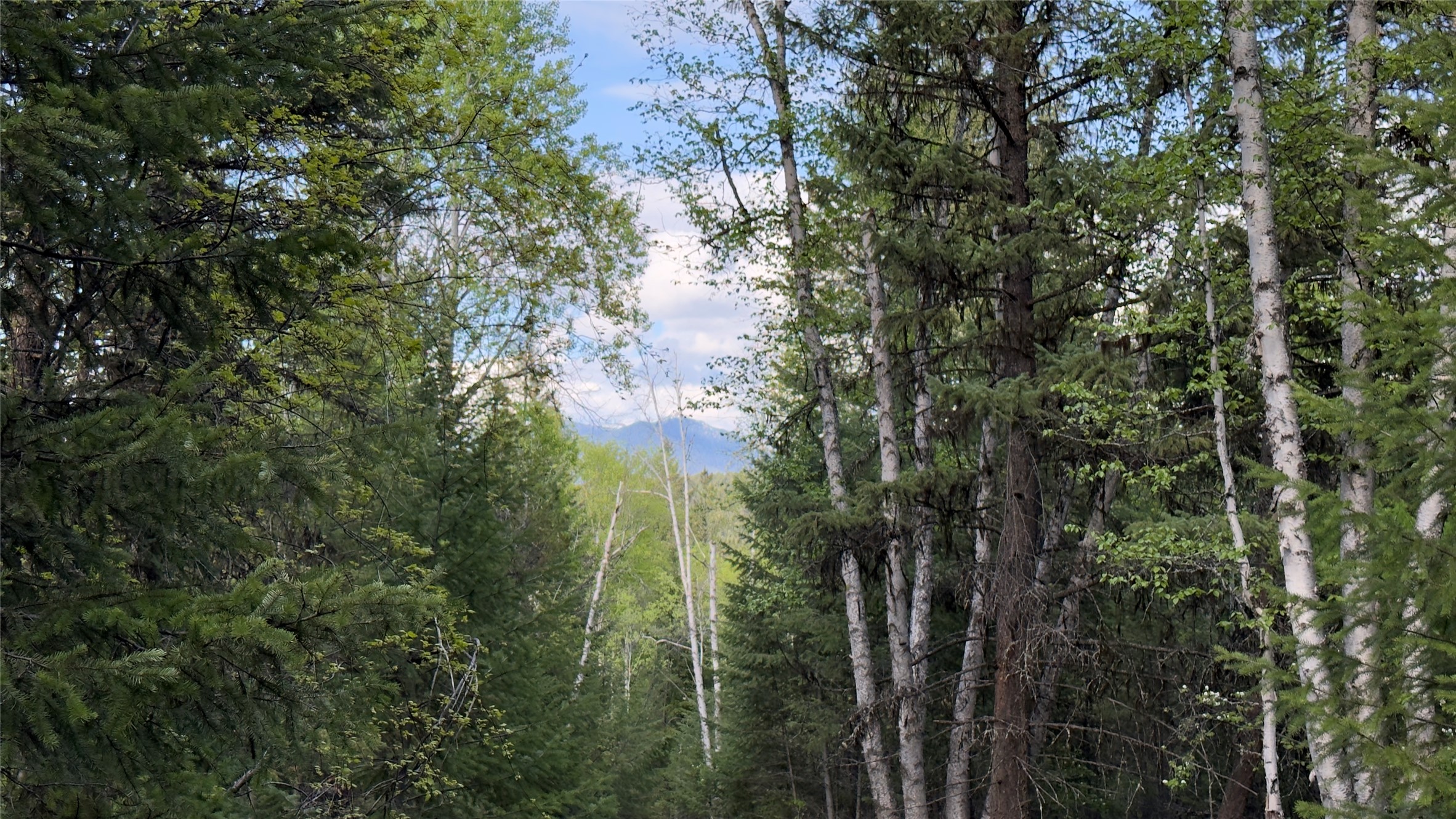 2096 Marl Lake Creek Road